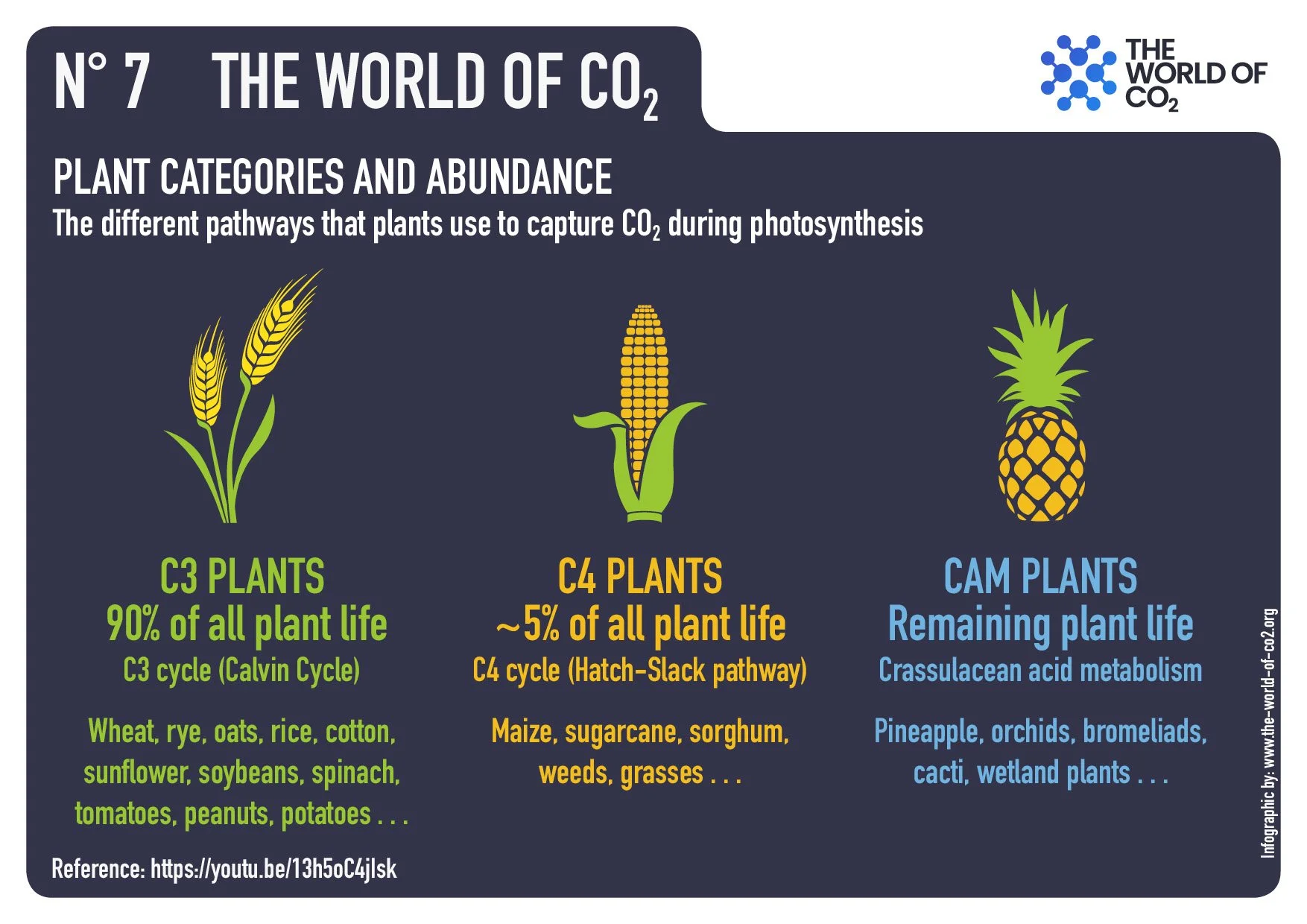 Plant categories and abundance, C3 Plants, C4 Plants, Cam plants