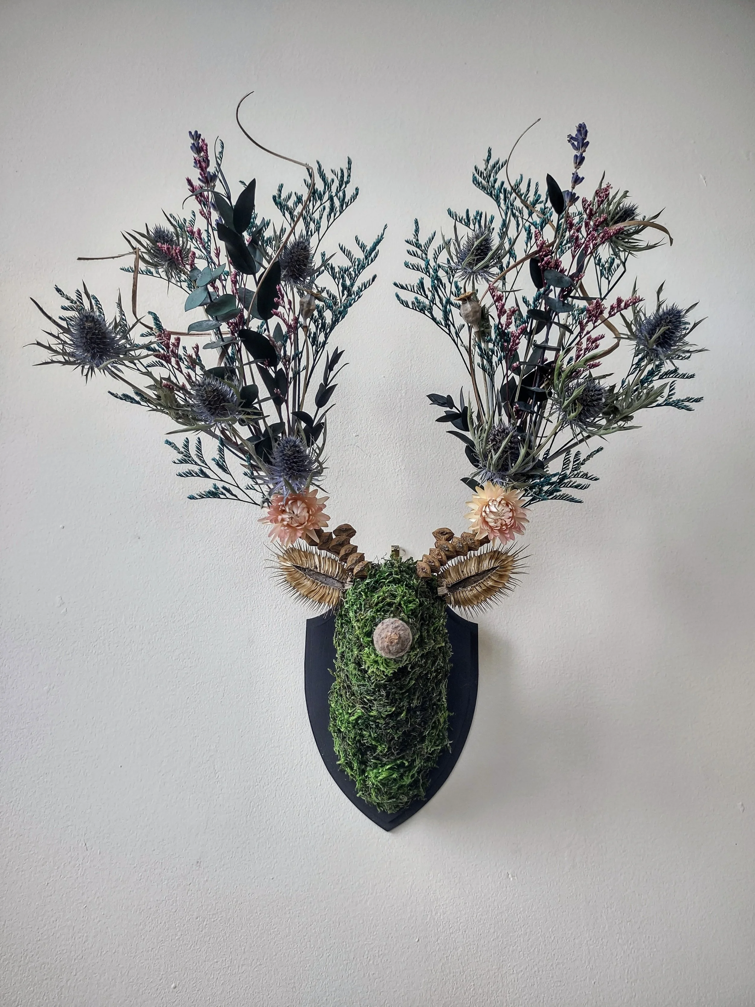 COTSWOLD FLORA SCOTTISH HIGHLANDS STAG
