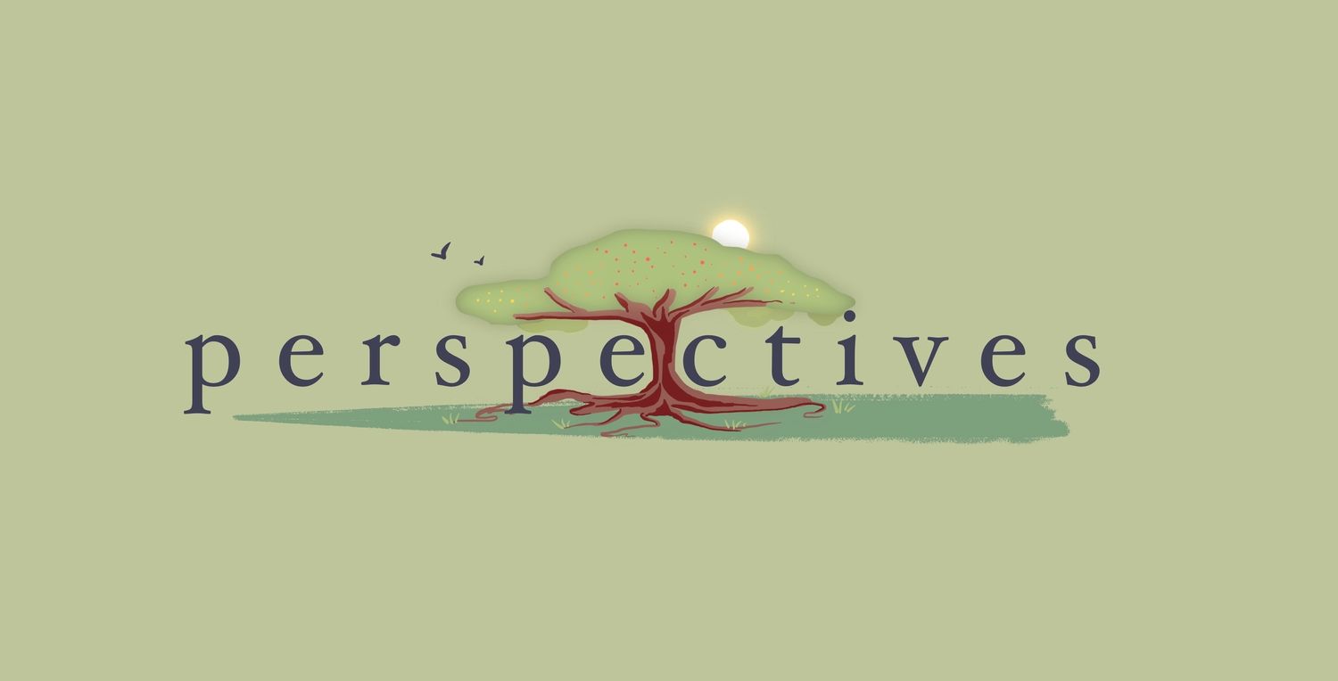 Perspectives Collective Journal
