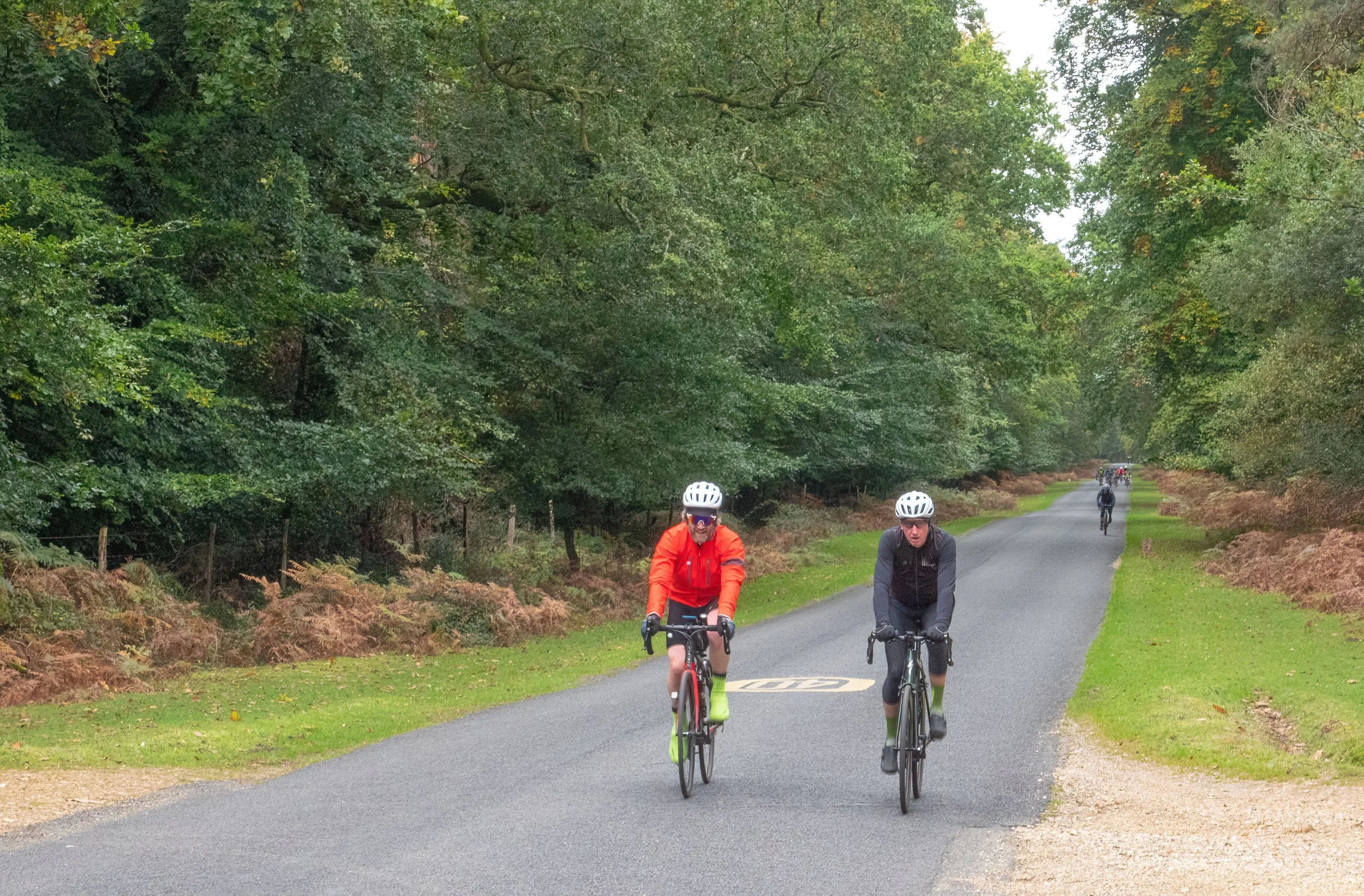 Cyclists riding on a tree-lined path on a cloudy day.