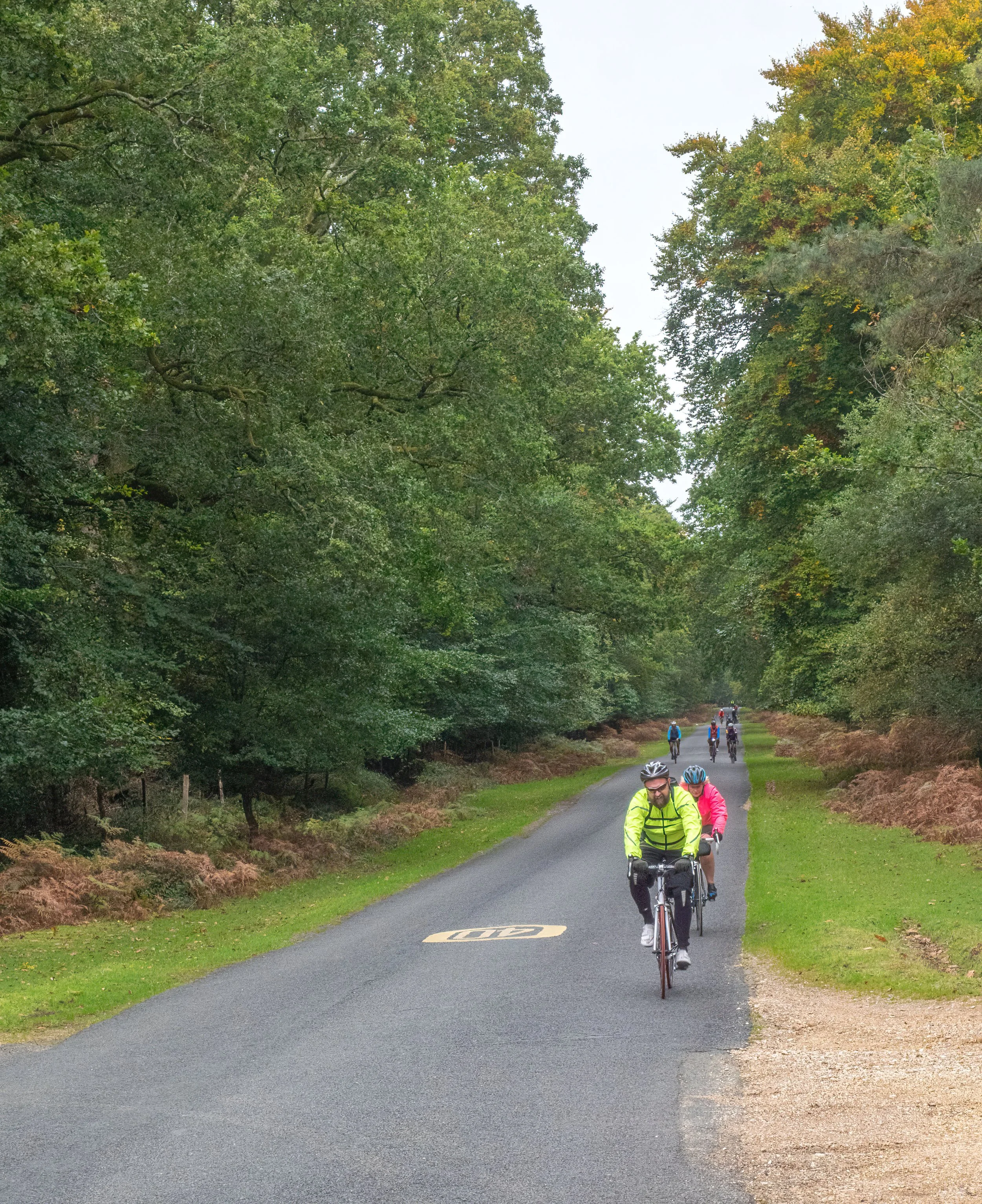 A group of cyclists riding on a scenic paved trail surrounded by lush green trees, with some trees showing early signs of fall colors. The sky is overcast, and the cyclists are wearing helmets and jackets.