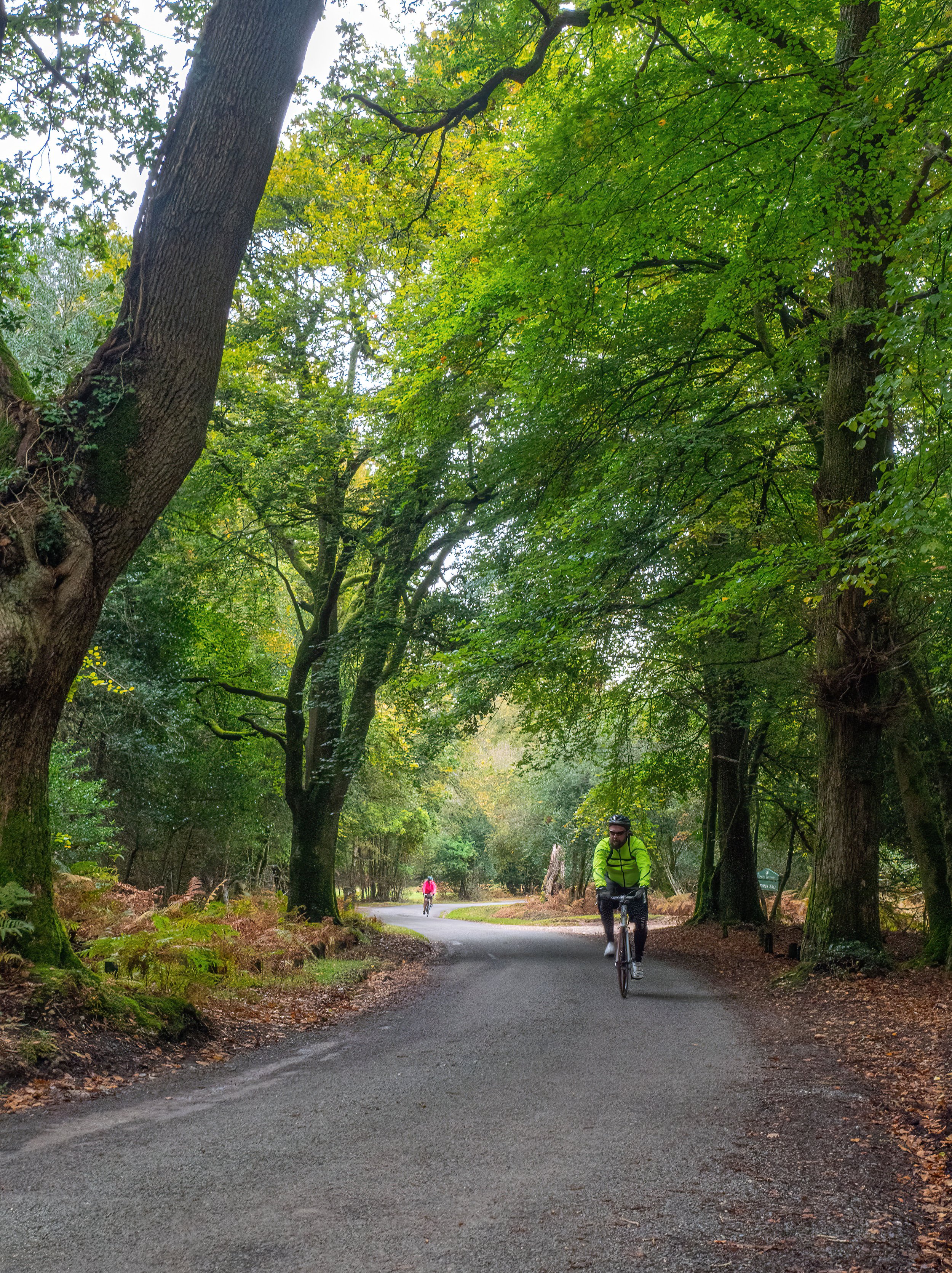 A scenic pathway through a lush green forest with tall trees on both sides. Two cyclists, one in a bright yellow jacket and the other in a pink jacket, are riding on the winding paved trail, enjoying a peaceful outdoor ride.