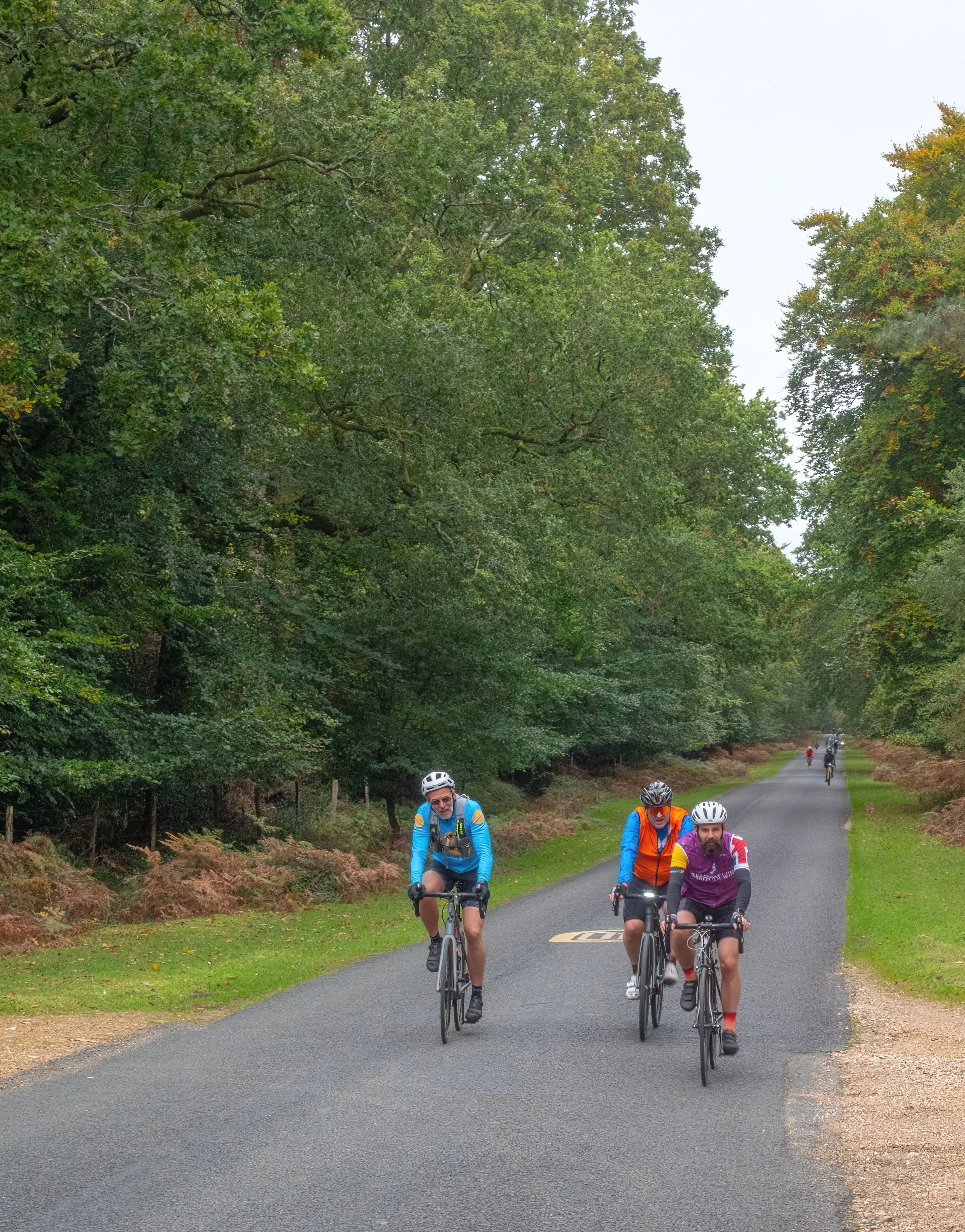 A group of cyclists riding on a paved road surrounded by green trees in a forested area.