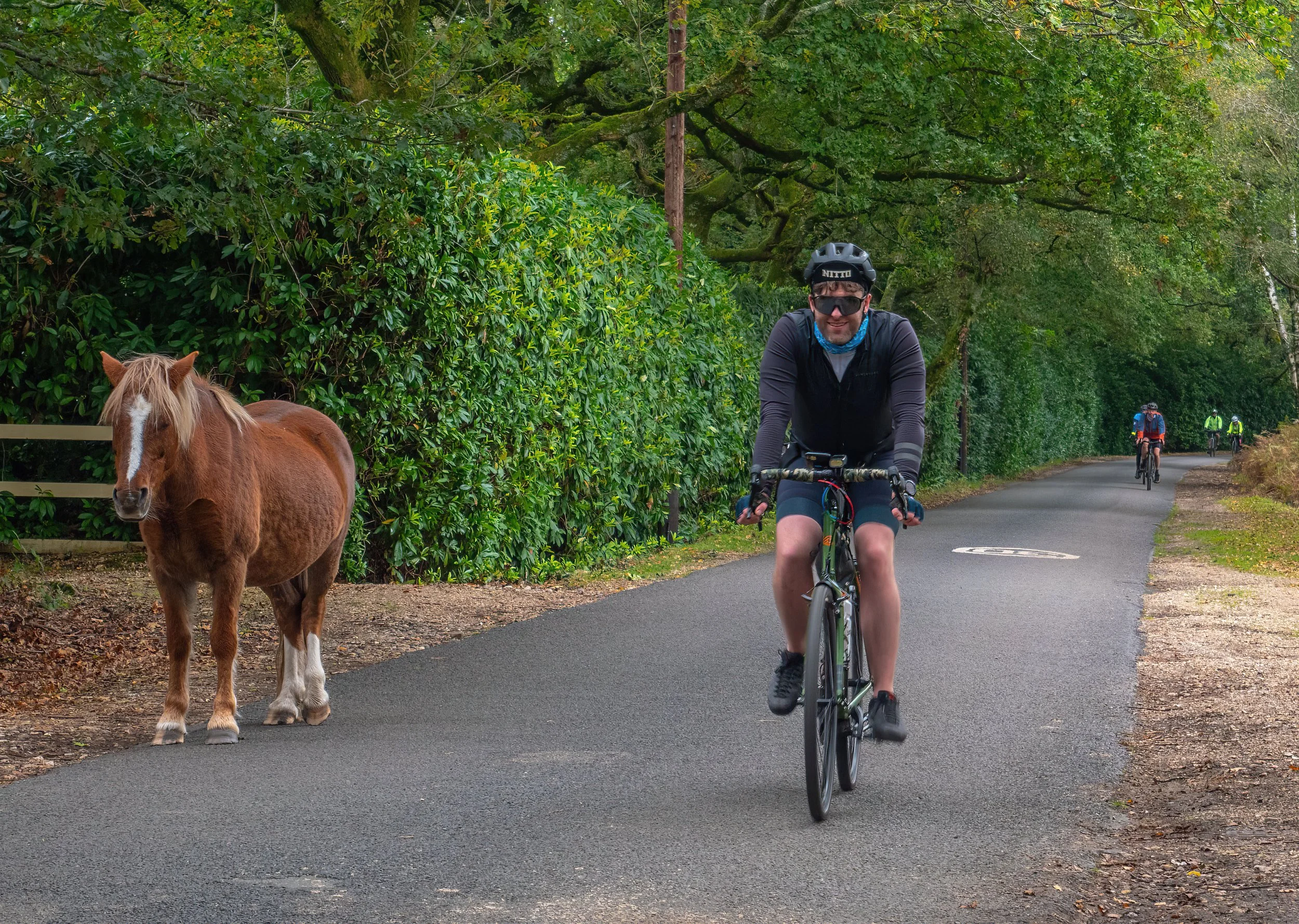A man wearing a helmet and sunglasses is riding a bicycle on a wooded trail. To his left, a brown horse with a white stripe on its face stands near a hedge. In the background, two more cyclists are riding on the same trail amid green trees.