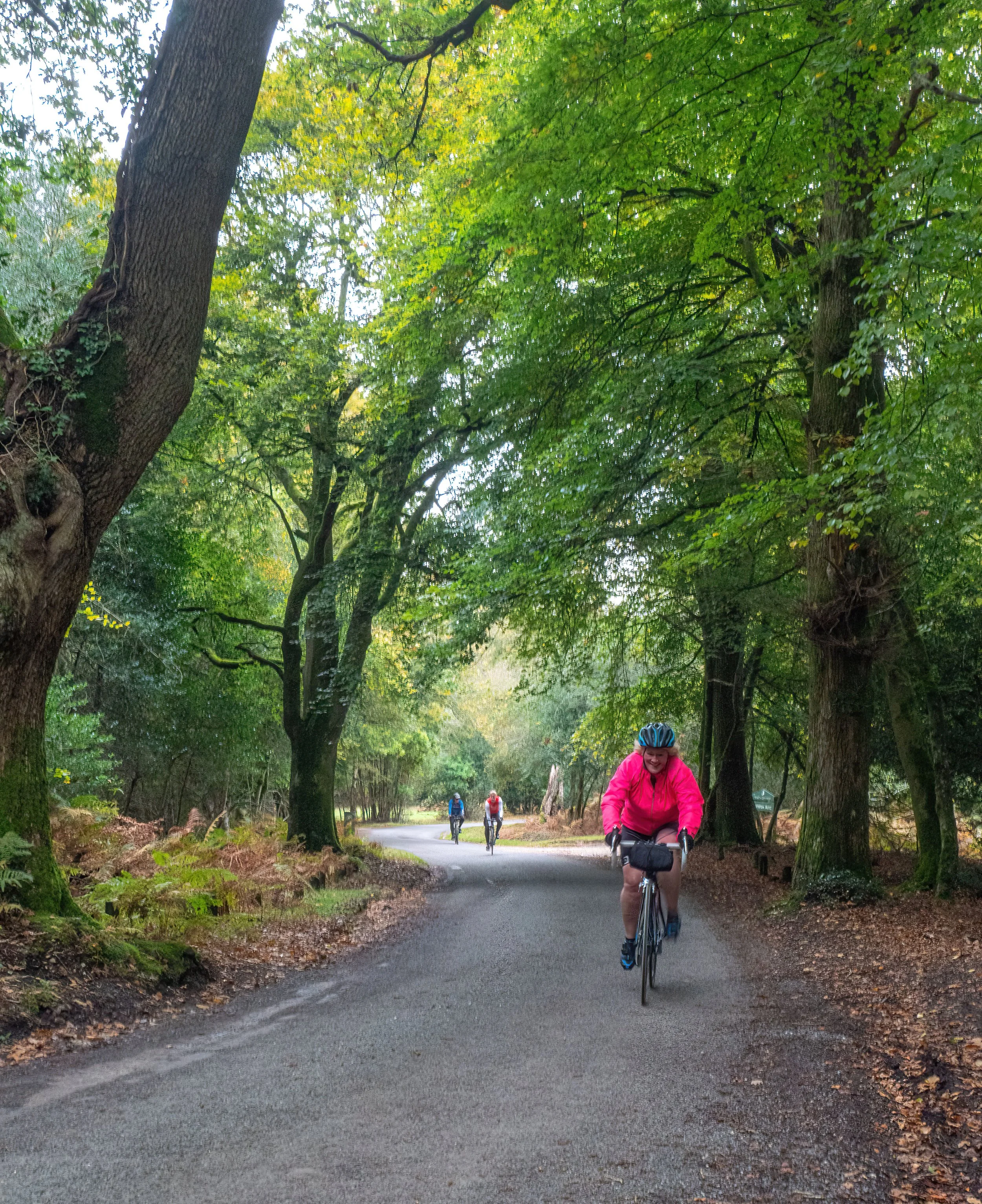 A group of people biking on a paved trail through a lush, green forest with large trees and dense foliage.