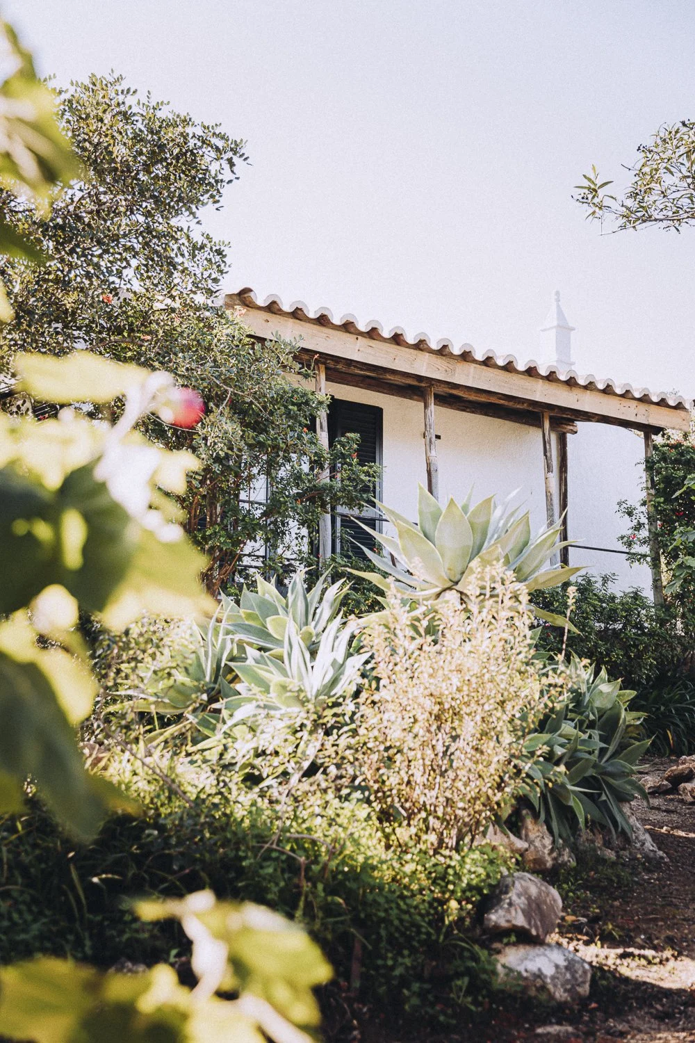 Vakantiehuis Portugal Algarve -60.jpg