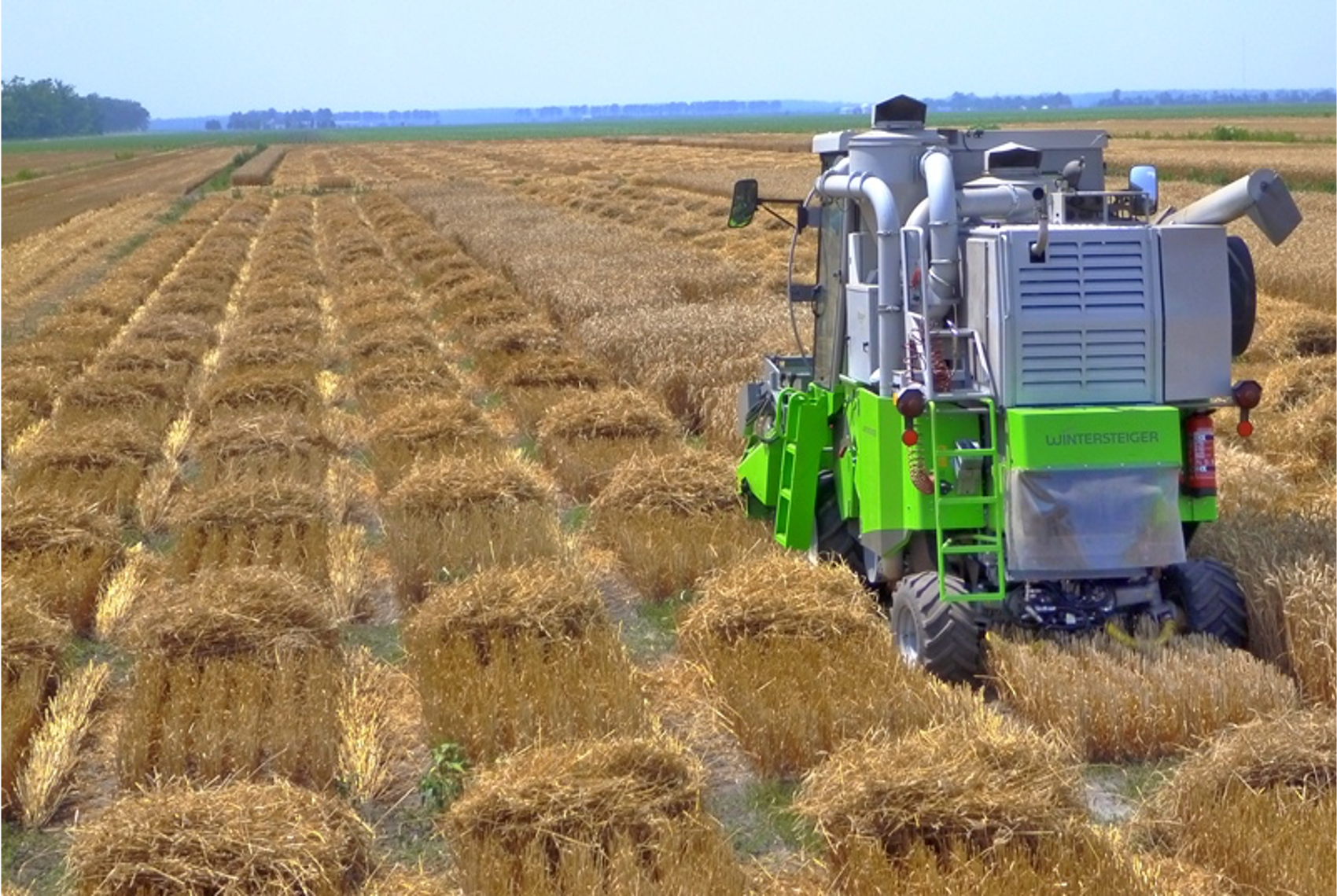 Harvesting, Beaufort County, NC