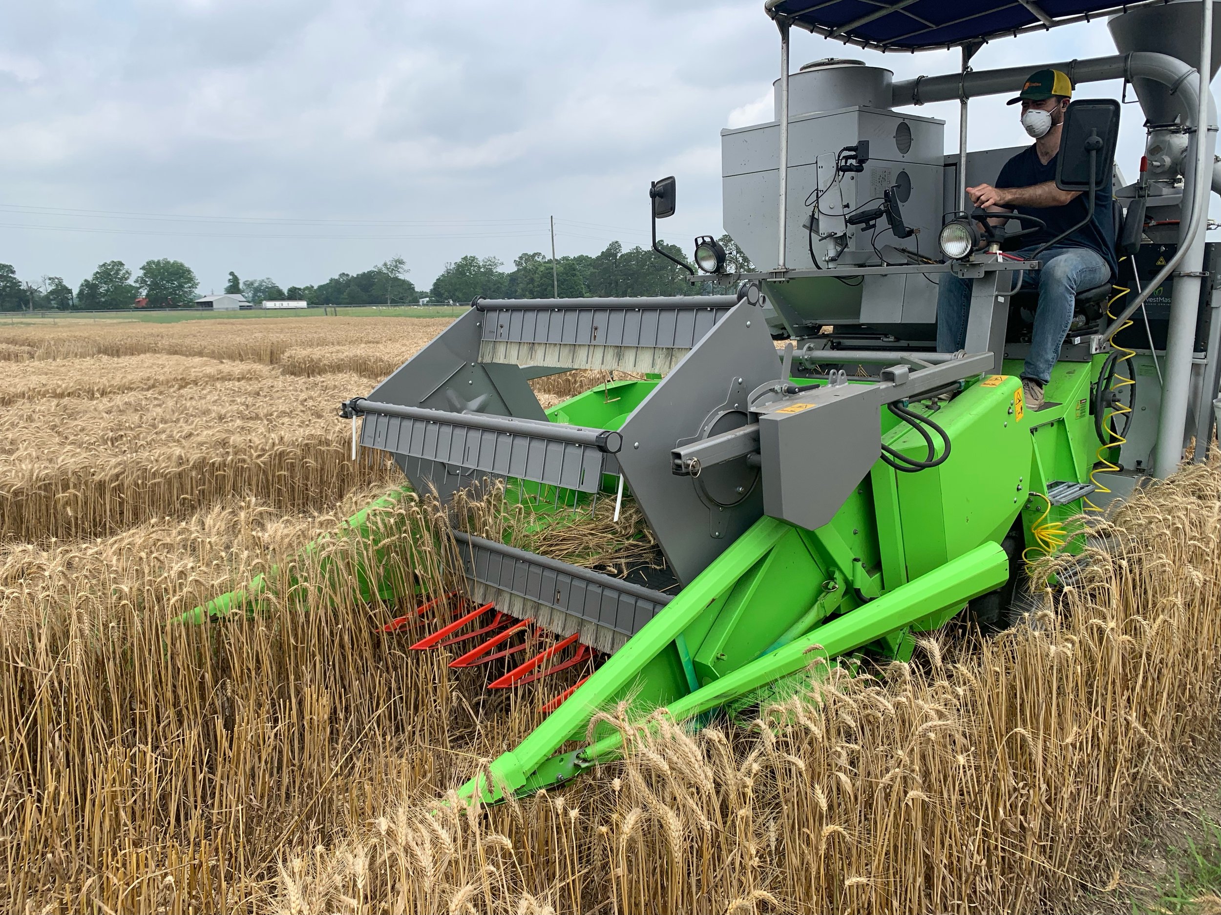 Harvesting in LA, 2024