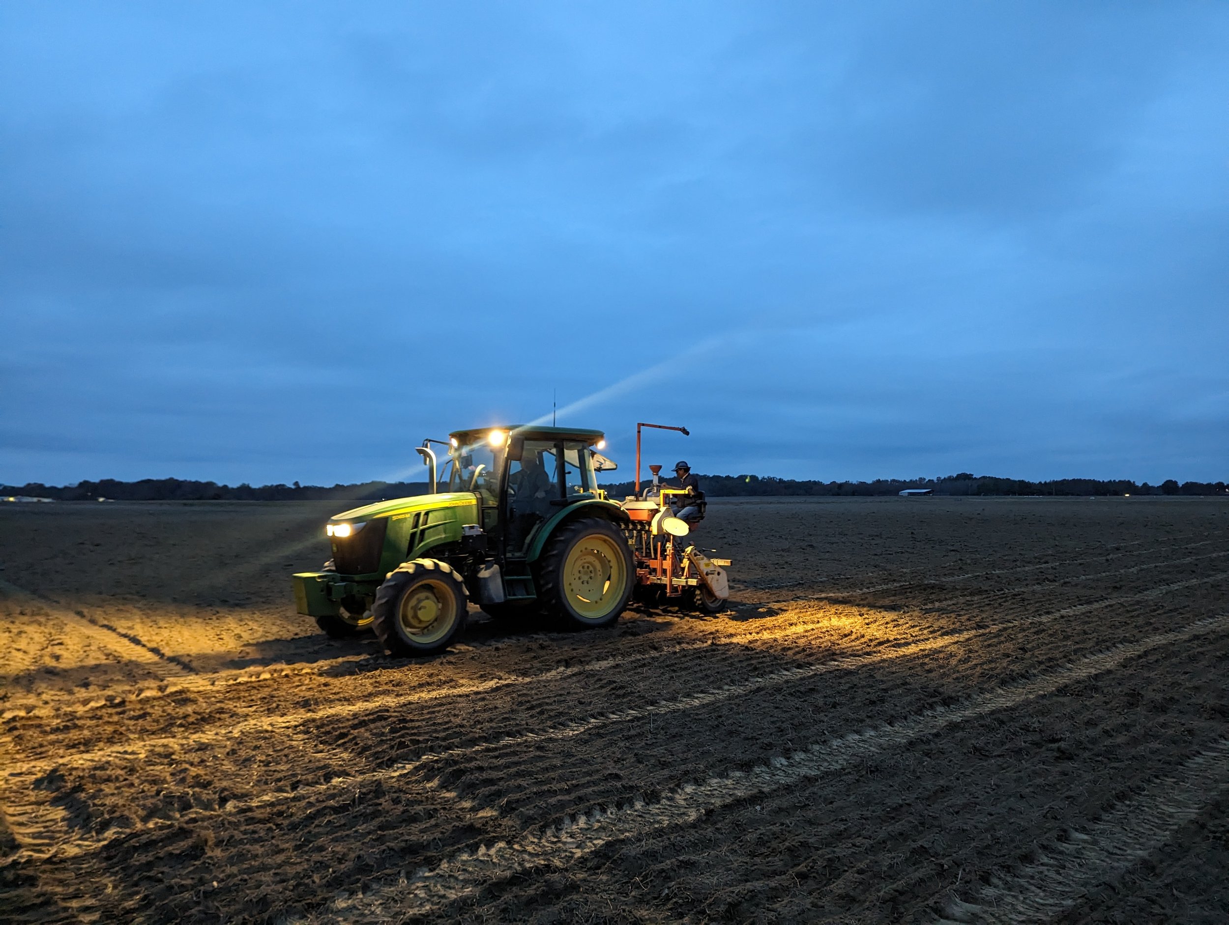 Planting by headlight, Winnsboro, LA