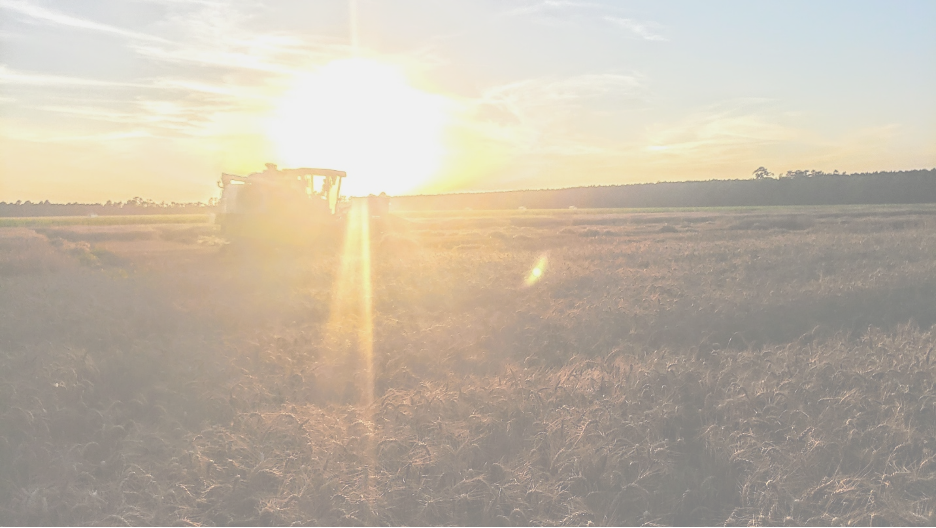 Combine at sundown