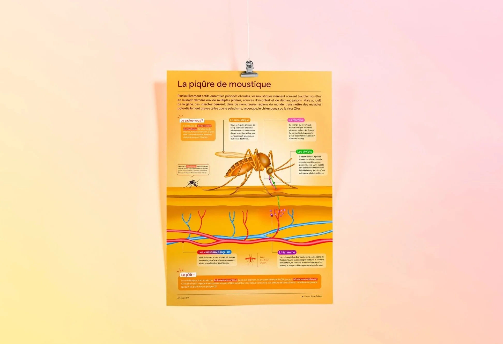 La piqûre de moustique