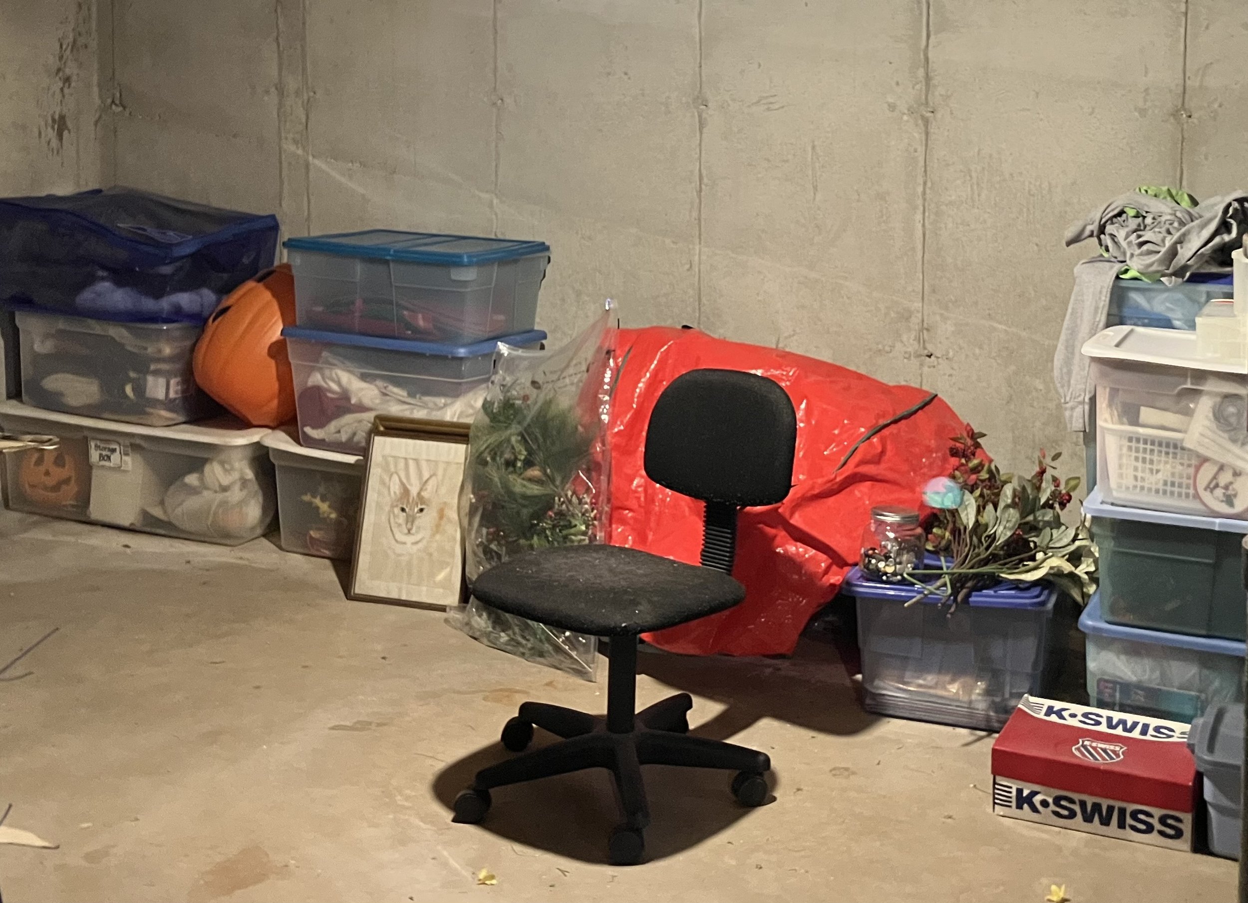 A cluttered storage room with plastic containers, cardboard boxes, a small framed picture of a cat, a black office chair, and various items including plants, a pumpkin, and a red covered object.