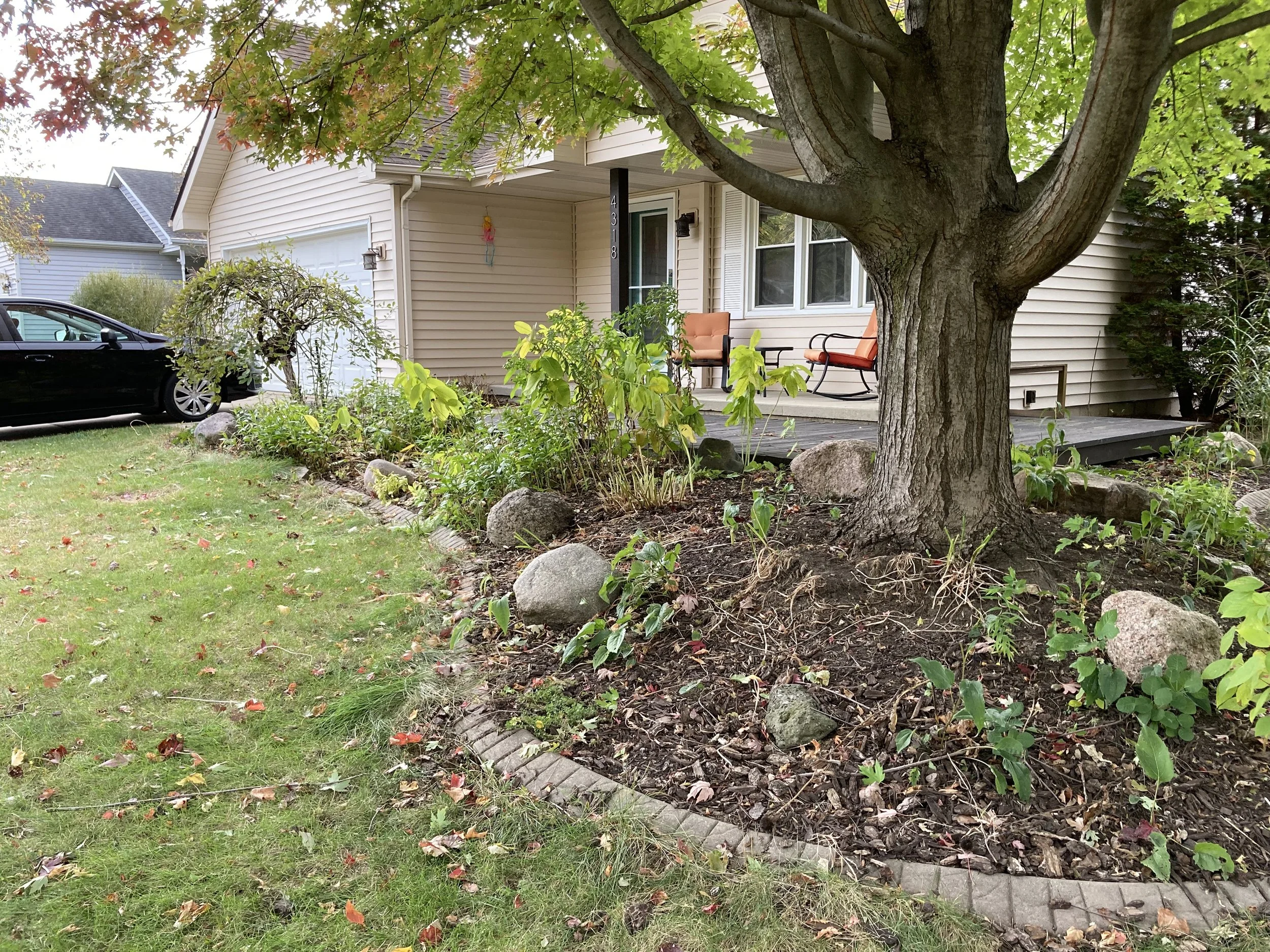 Another after photo: The weeping cherry tree got pruned, the perennials done flowering got cut back, and the flower bed edges got cleaned up.