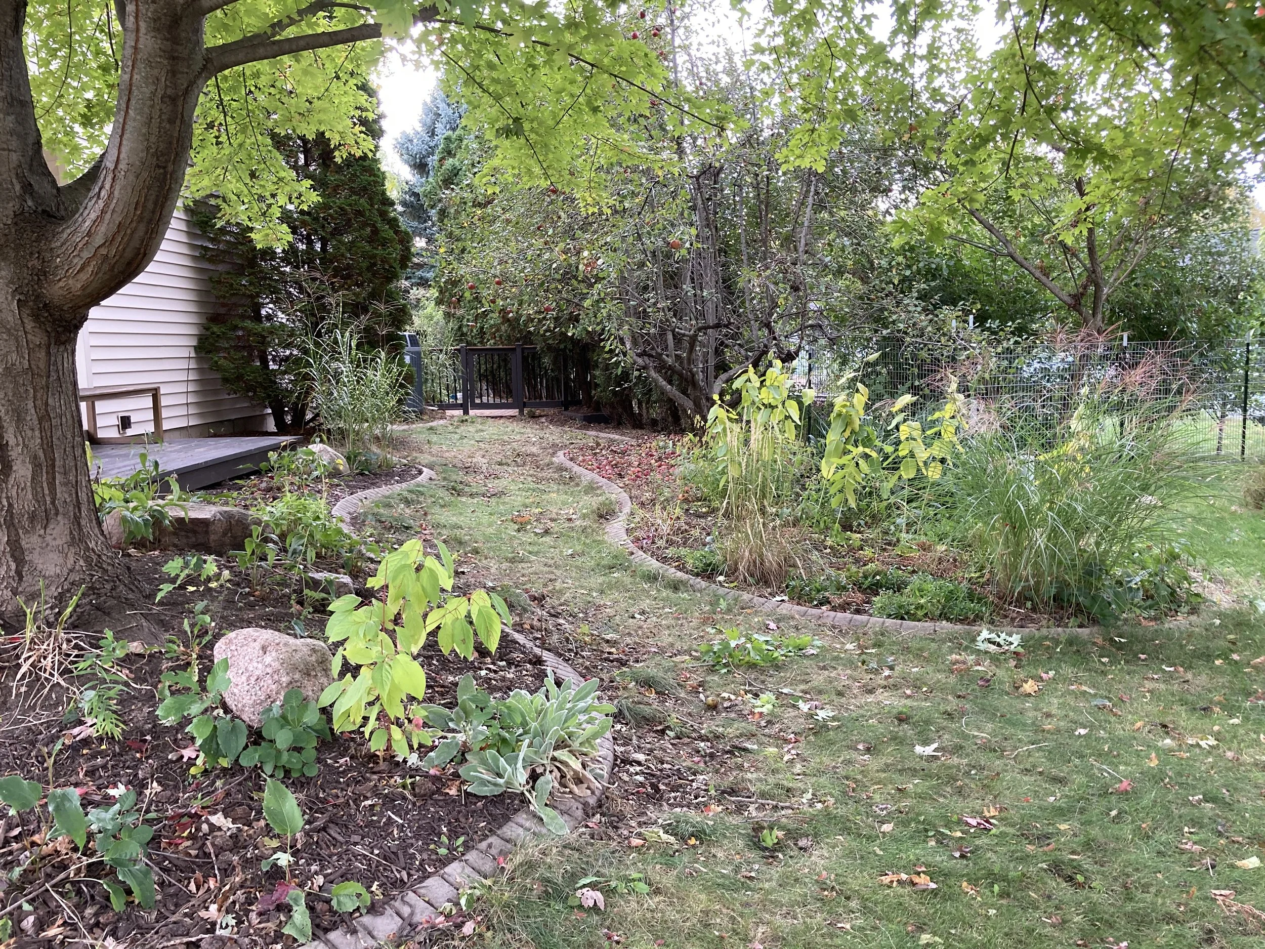 After: PWJ worked to make a huge difference in preparing this yard for the photos. A realtor can help clarify which areas are the most important, and a plant enthusiast can help bring a yard into its best shape for listing to sell.