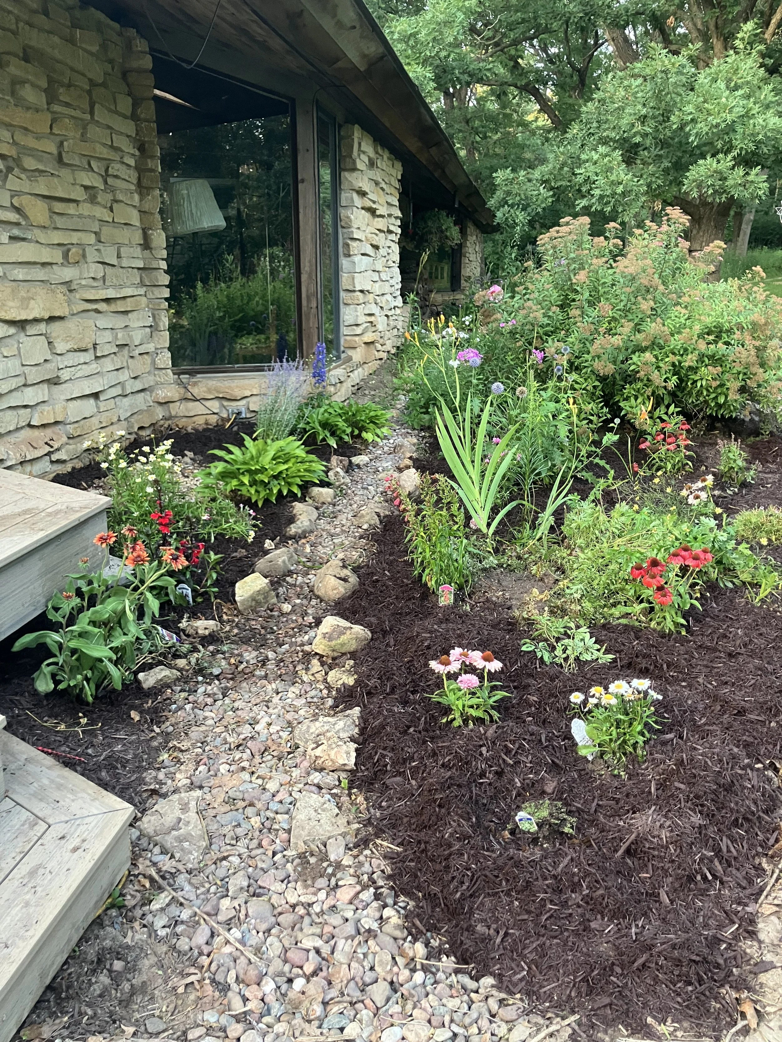 After: Client chose perennials and PWJ planted and mulched in coneflower, daisies, dianthus, tickseed, Russian sage, and many more. Also mulch.