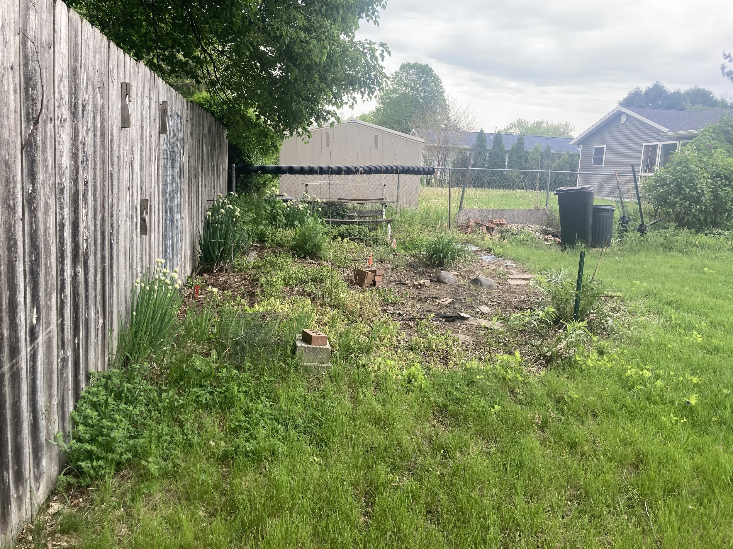 Before photo: The previous owners had aspirations of a veggie and flower garden here.