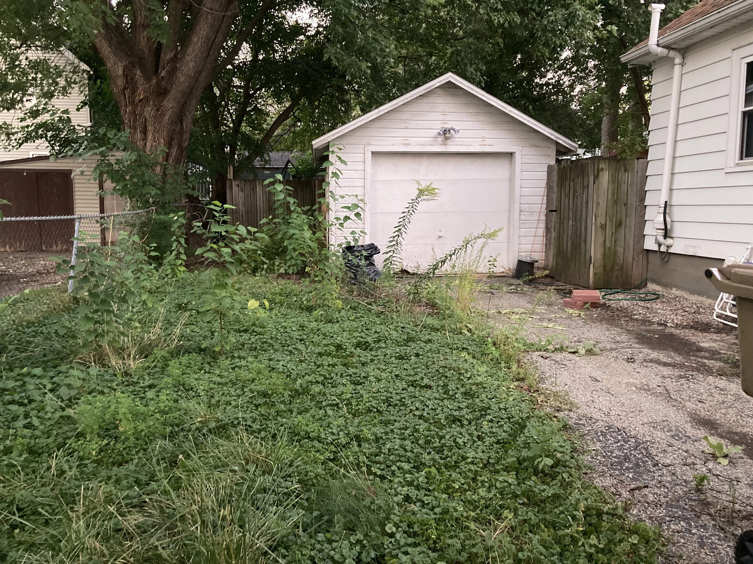 Before: PWJ came on board to identify some of the plants, strategize removing invasive plants, manage the lawn, and keep the space maintained through the season.