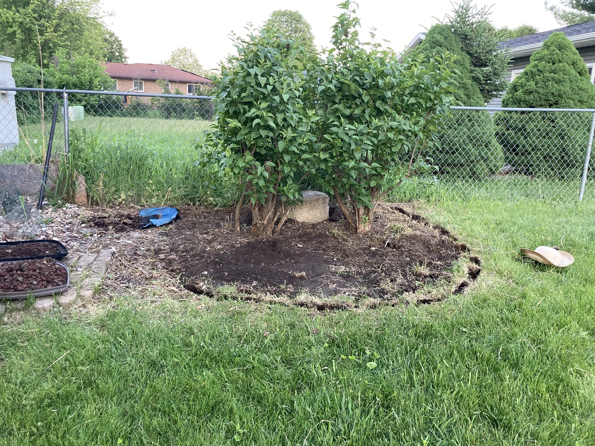 During photo: The weeds are cleared and the yard clutter is moved, so we can see the potential for a nice flowerbed.
