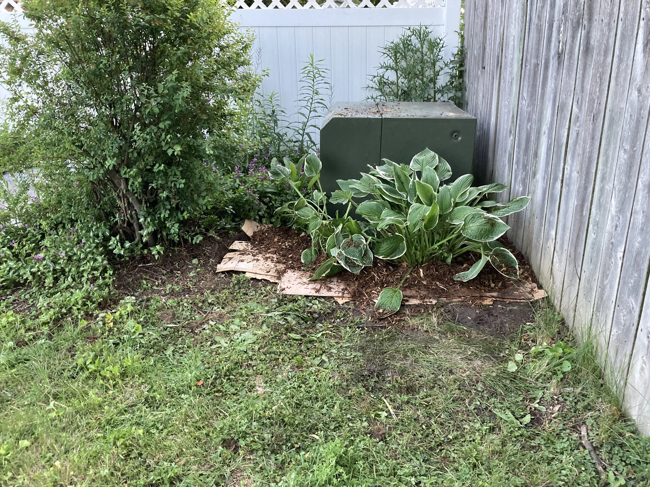 During: We cleared many weeds and the client decided to cultivate some perennials around the utility box. We transplanted hostas and will continue to build an appealing space here.