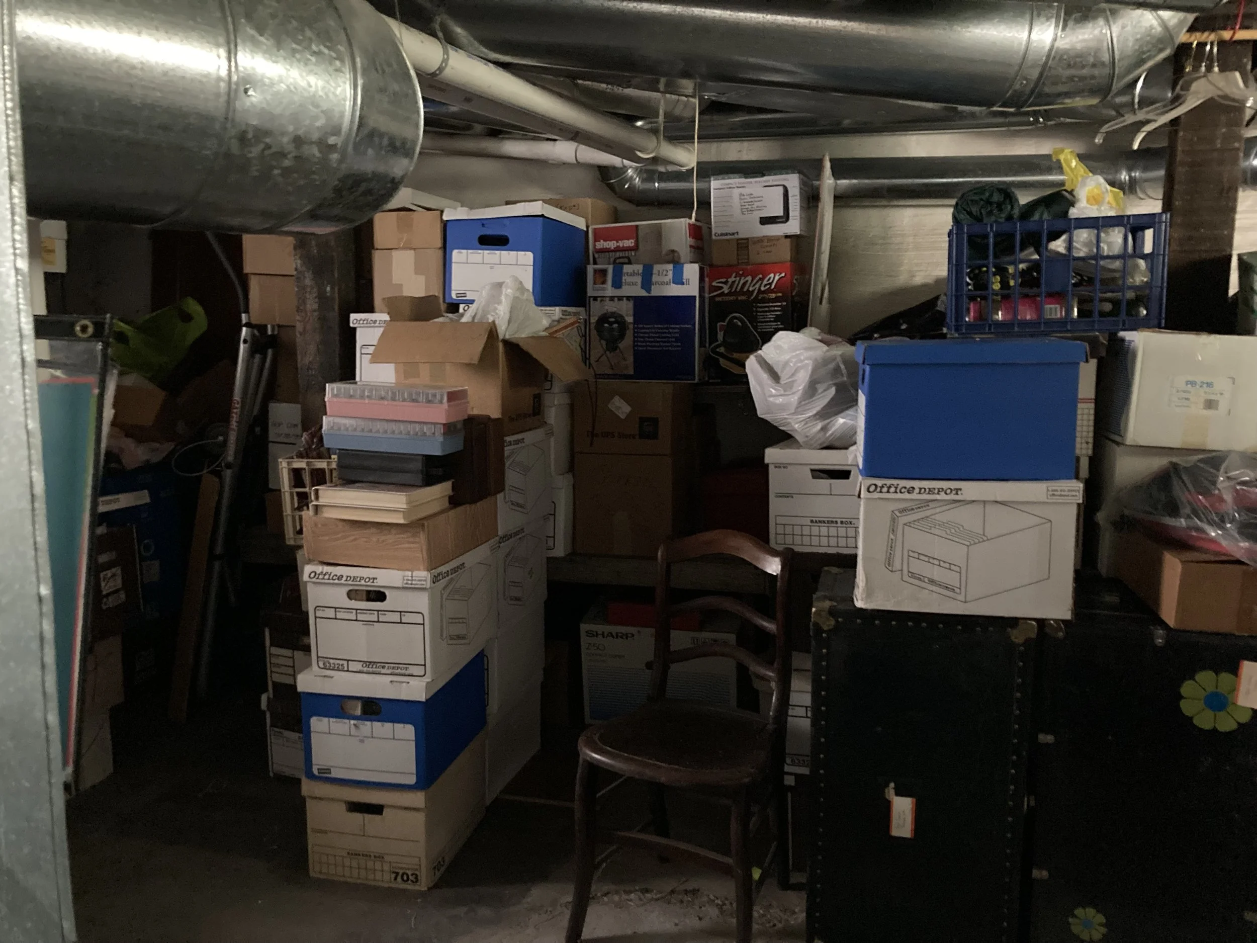 Basement prior to downsizing. Boxes got labeled and sorted by category so that the moving team could collect valuables.