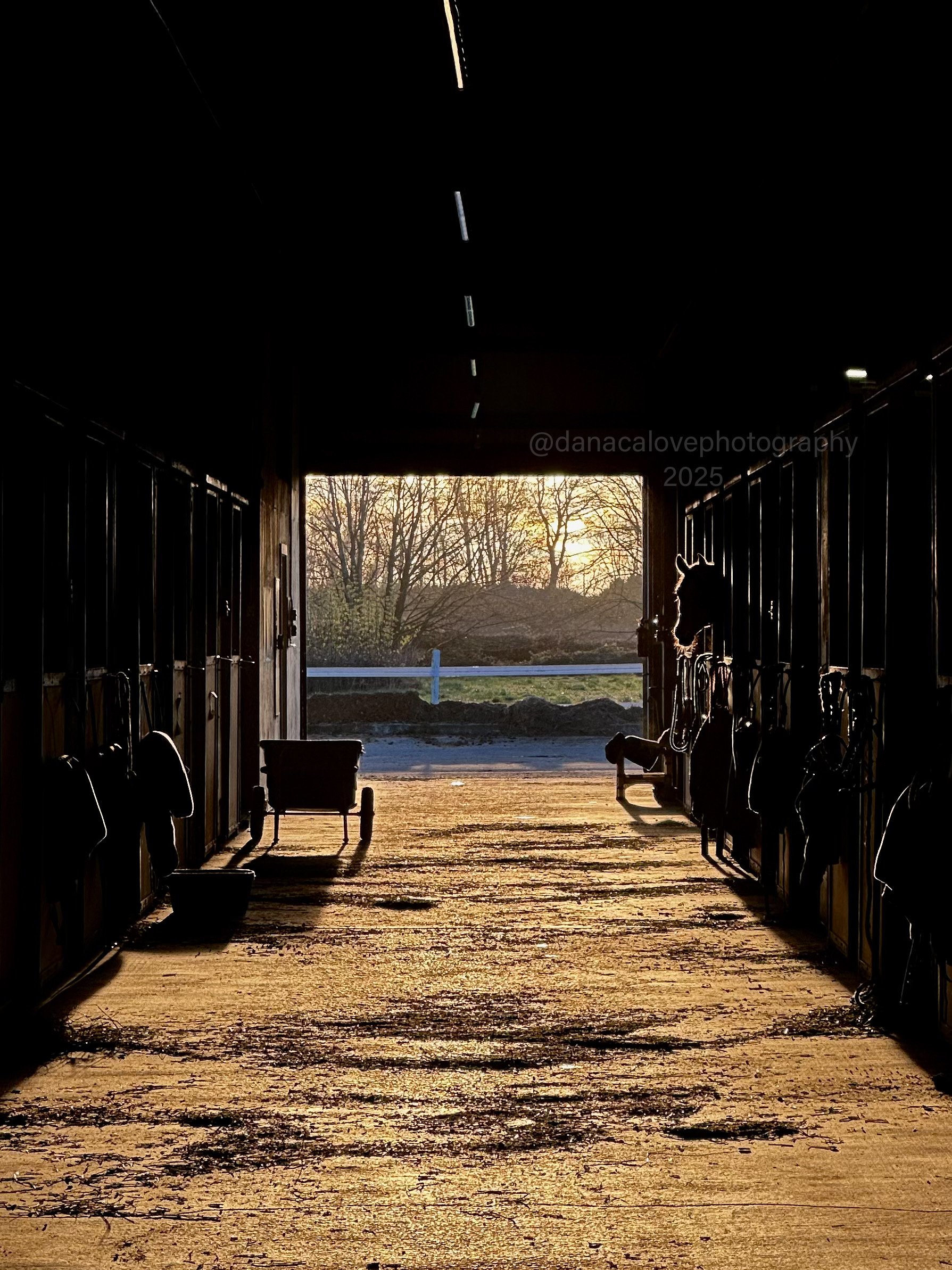 barn aisle.JPEG