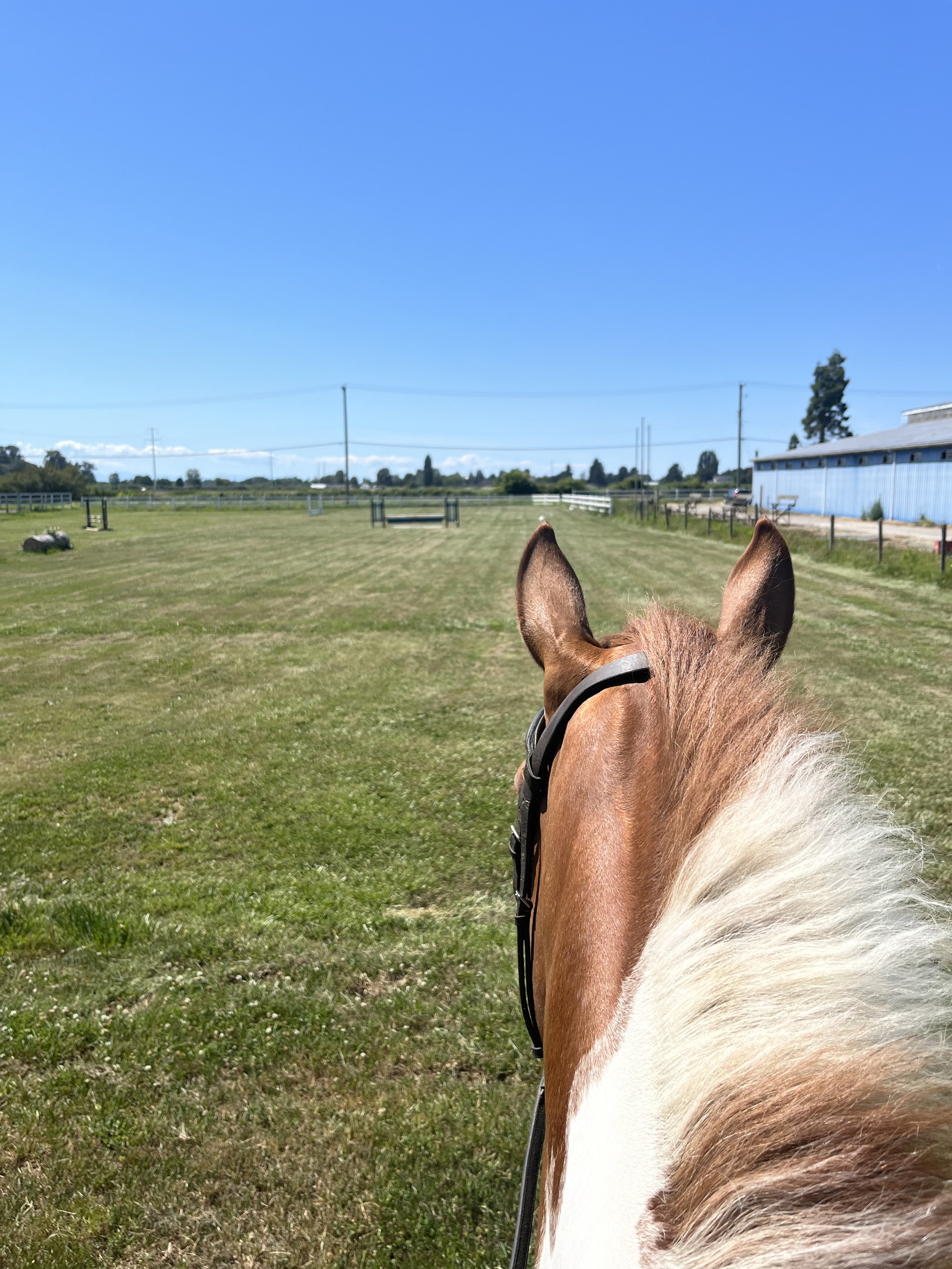 ridinginfield.jpeg