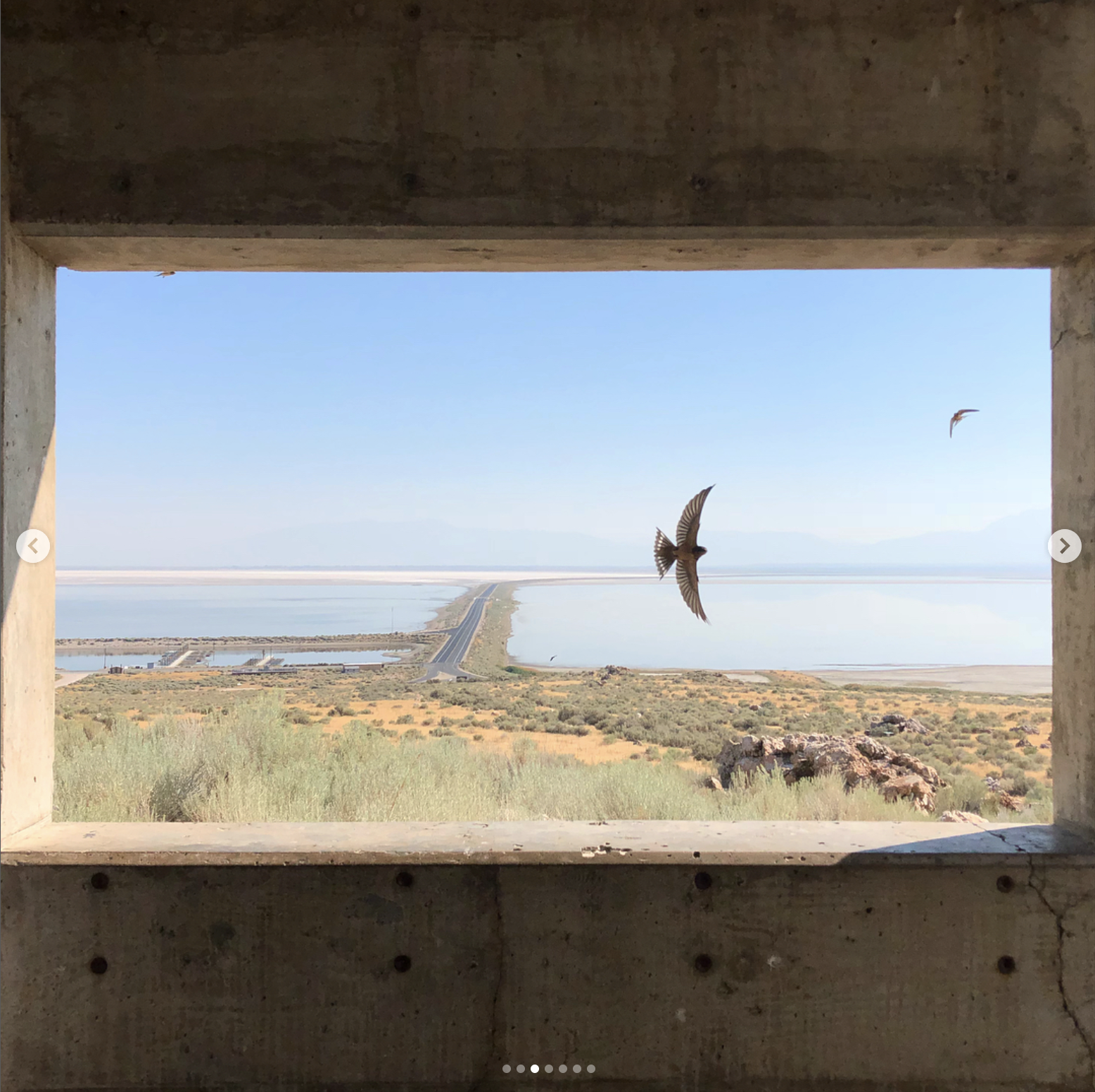 Screen Shot 2022-12-12 at 9.56.55 AM.png