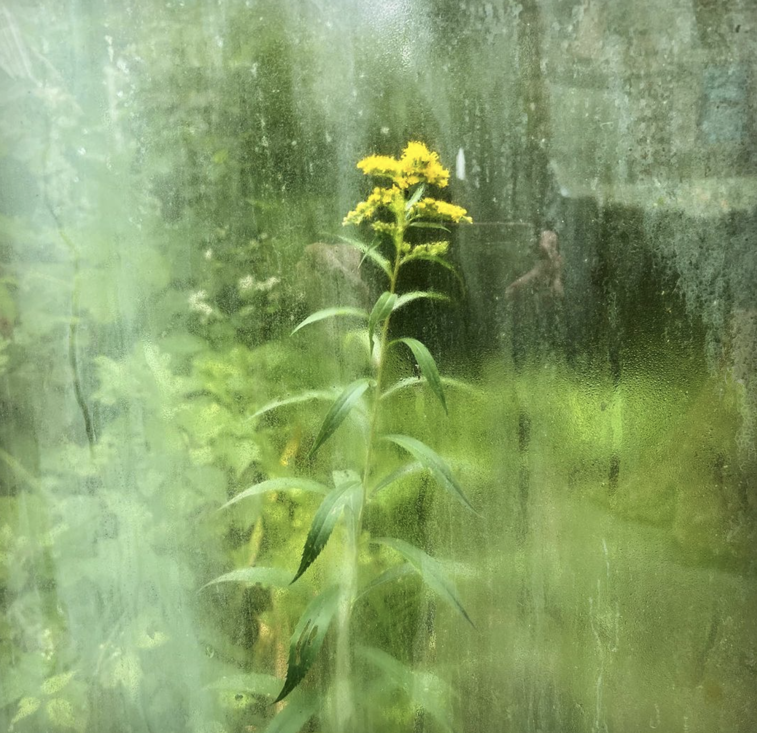 Screen Shot 2022-12-12 at 9.26.59 AM.png