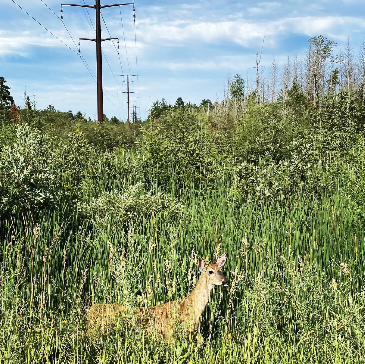 Screen Shot 2022-12-12 at 9.40.35 AM.png