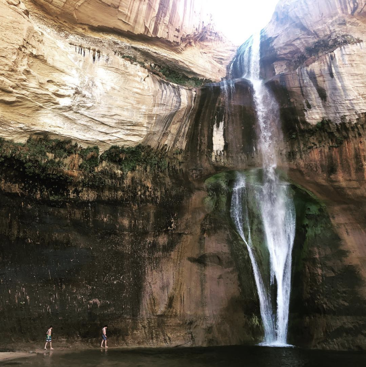 Screen Shot 2022-12-10 at 3.37.52 PM.png