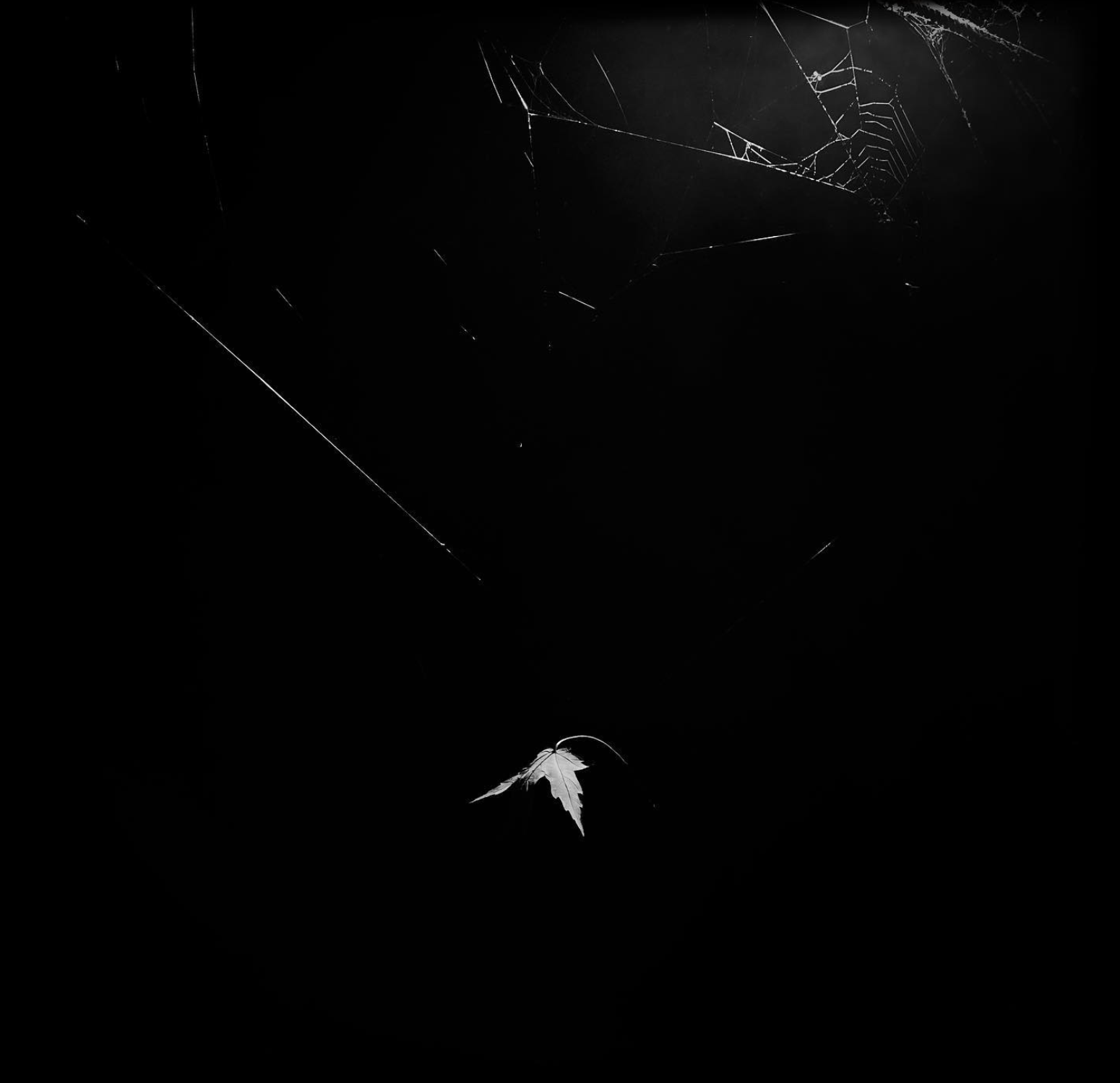 Screen Shot 2022-12-10 at 3.35.13 PM.png