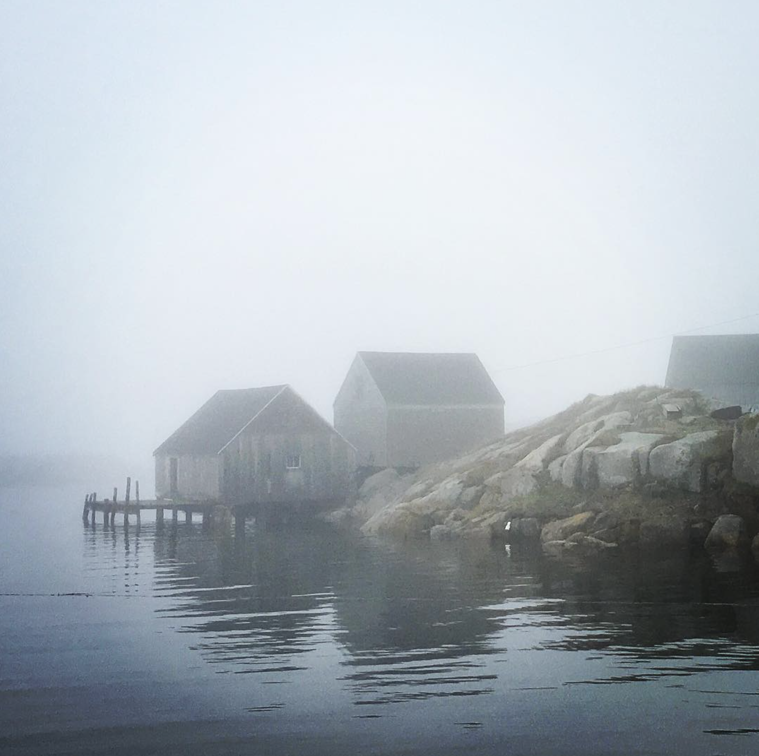 Screen Shot 2022-12-12 at 10.07.10 AM.png