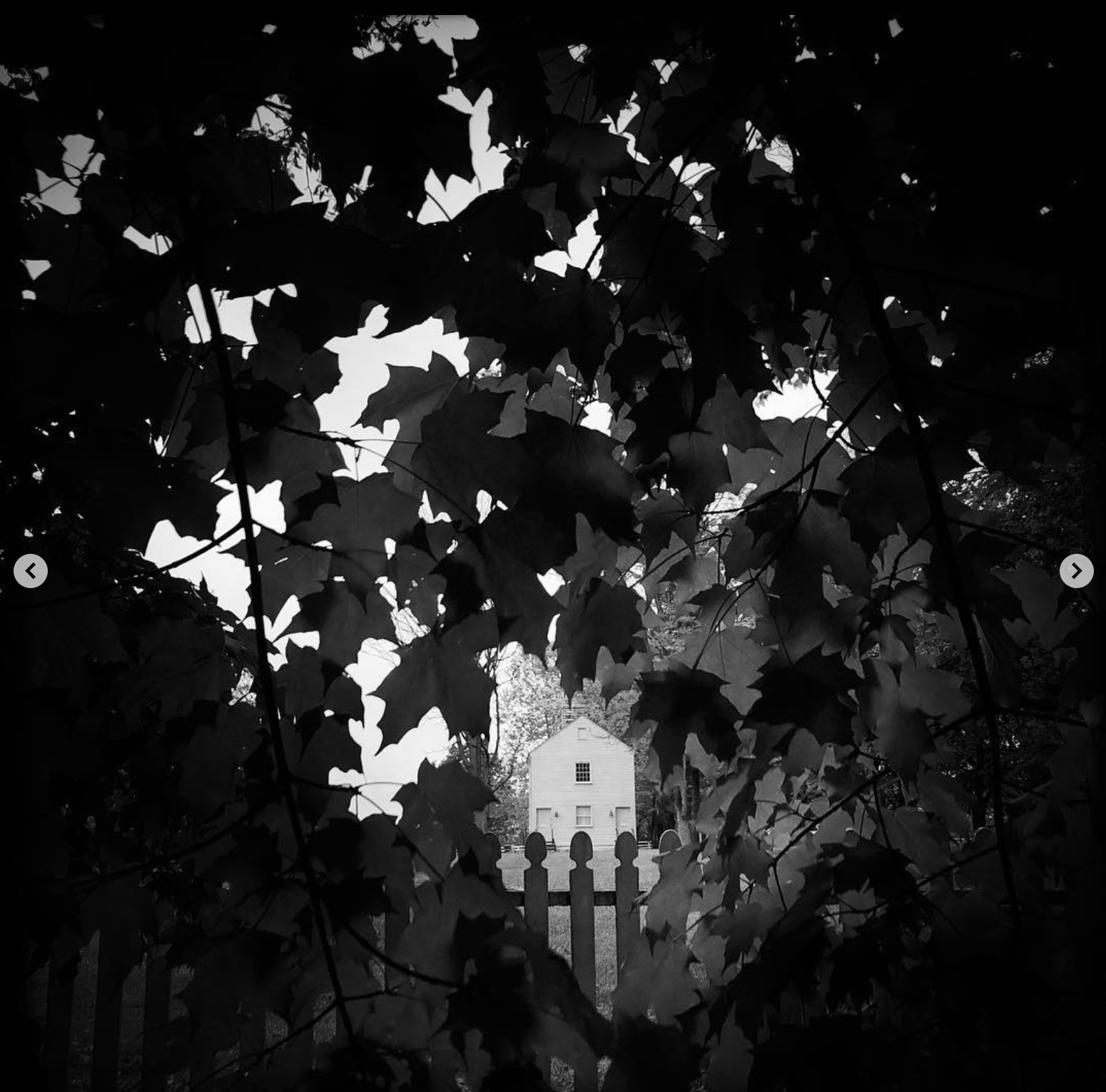 Screen Shot 2022-12-12 at 9.49.41 AM.png