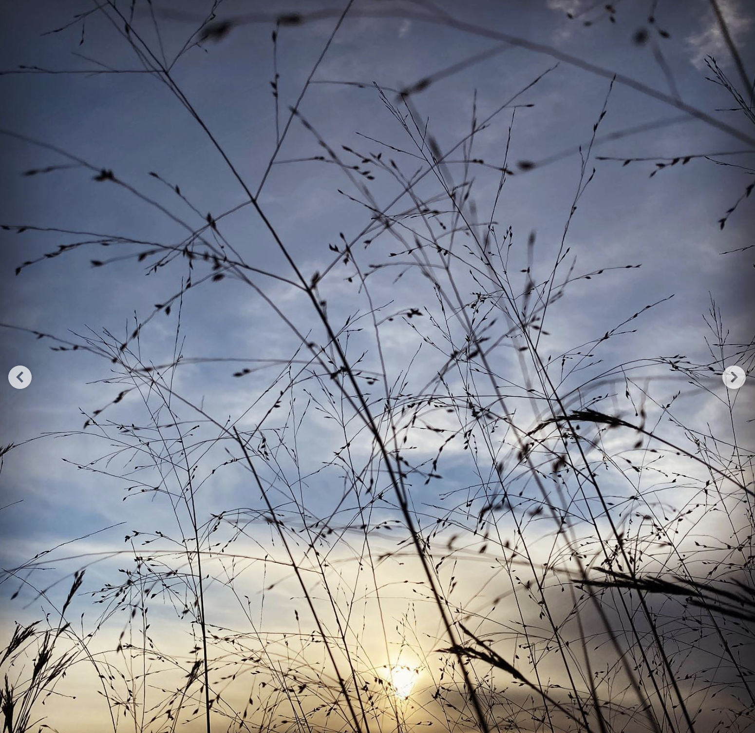 Screen Shot 2022-12-12 at 9.36.15 AM.png