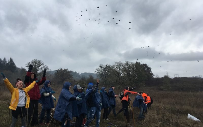 General 2 Upper Willamette Stewardship Network