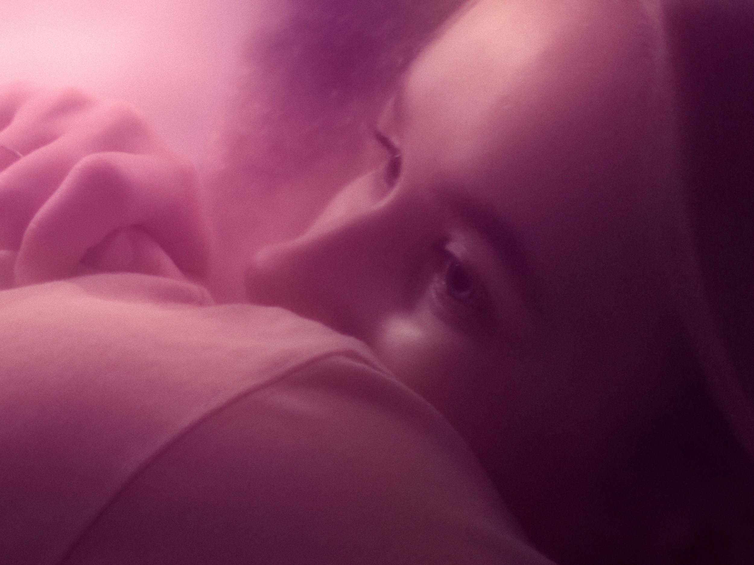 GirlTalk_StortEllerSmåt_Still15.jpg