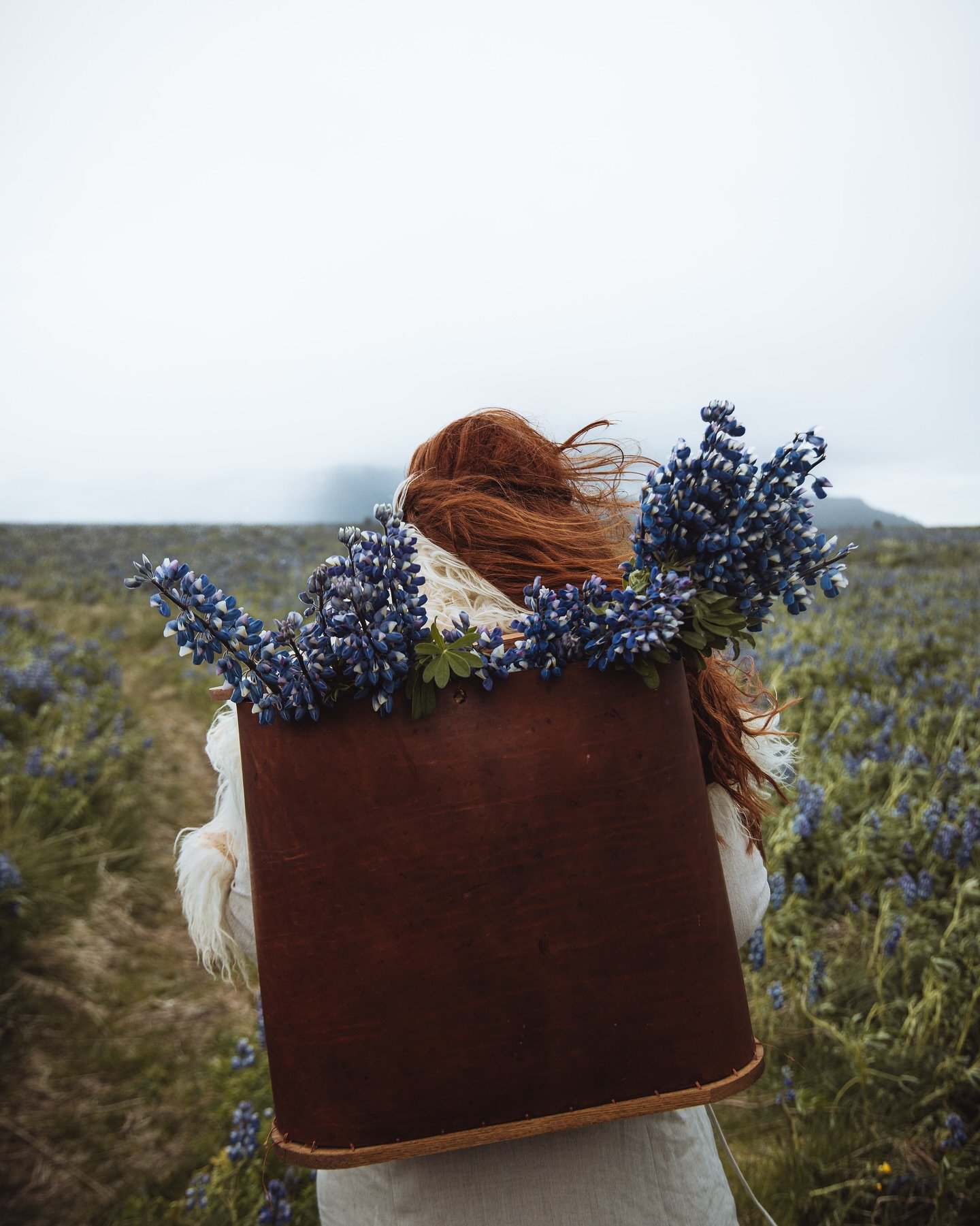 The 'hobbit collecting her lupines' aesthetic🪻🧺

This was such an amazingly fun shoot with @heidrunfivelstad 
It was absolutely freezing but we all toughened out the snow and strong winds to get this beautiful shots. AND GUYS, I FINALLY GOT TO RUN 