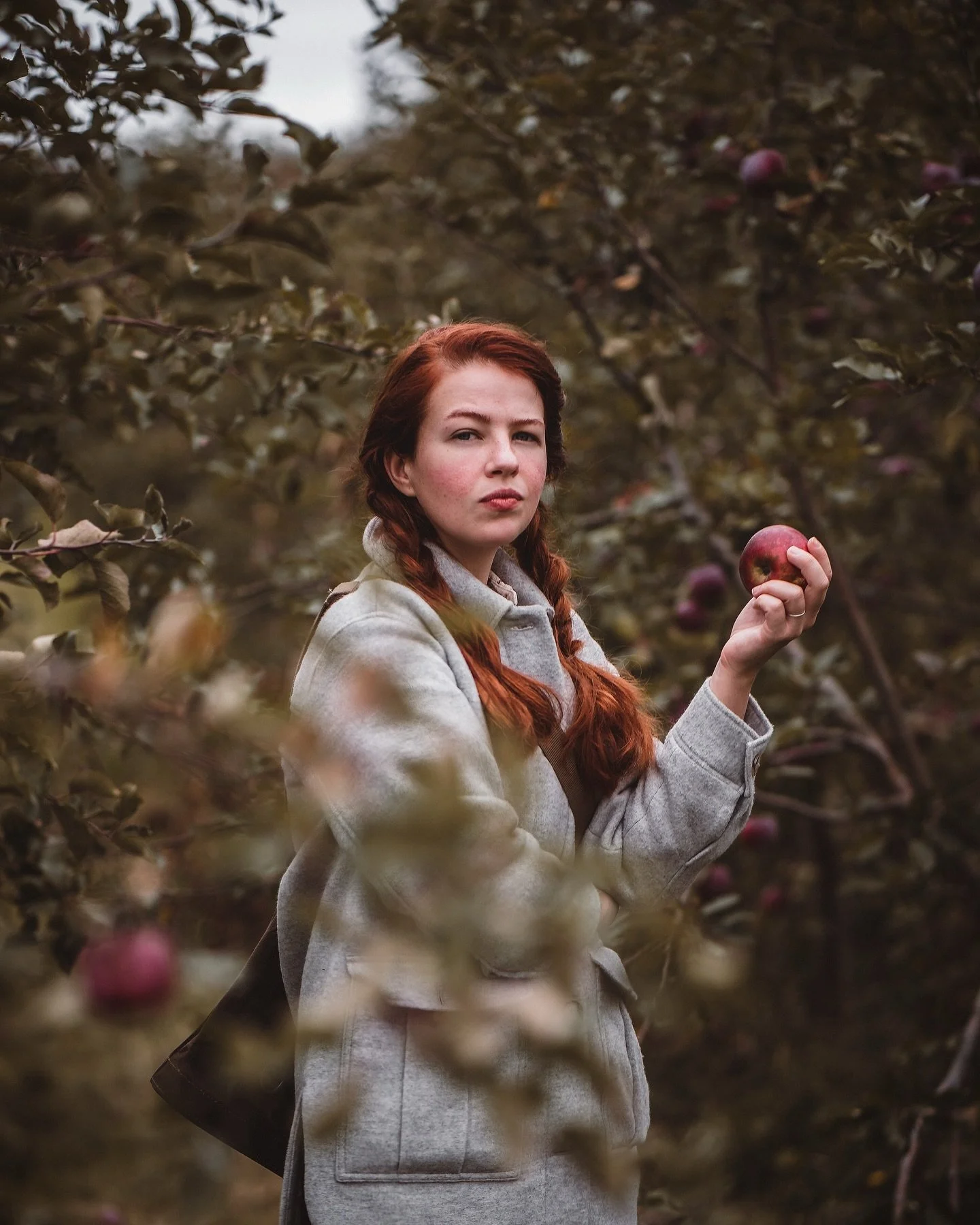 Can I offer you a nice apple in this trying time?🍎