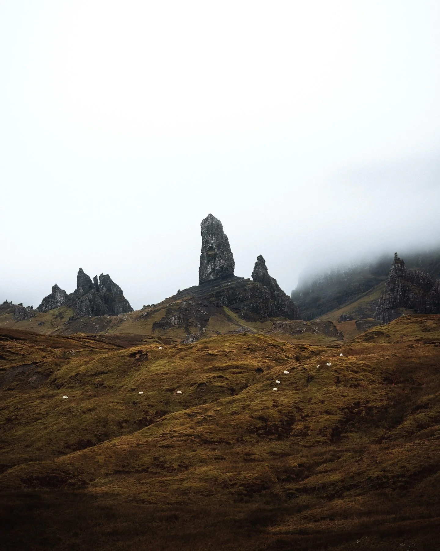 We didn't have time to hike up to Old Man of Storr so instead I got this sick photo with the sheep in front of him. DEFINITELY planning on hiking up to the formation next trip though. 
Actually there was like 30 different trails I wanted to hike next
