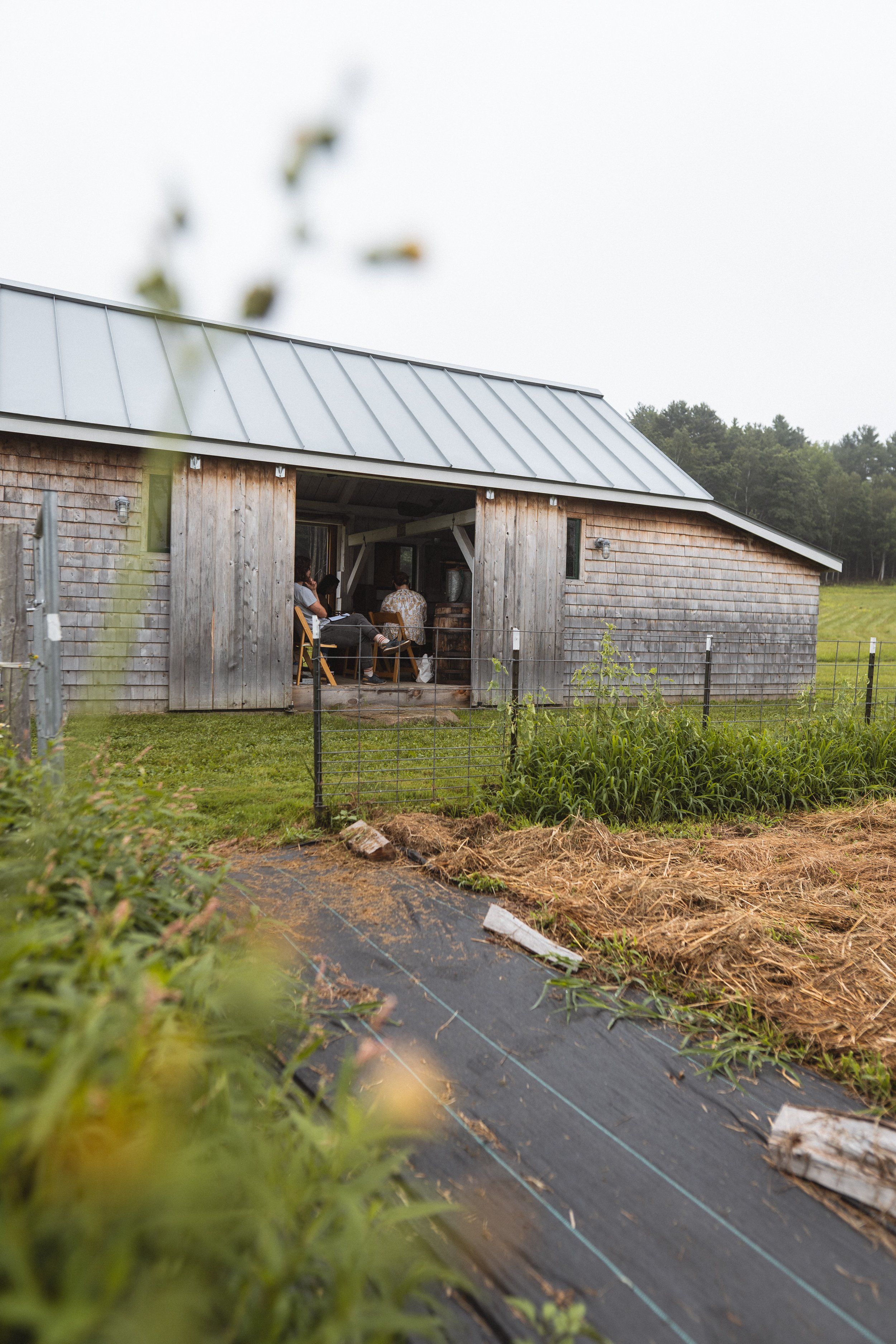 Permaculture (6).jpg