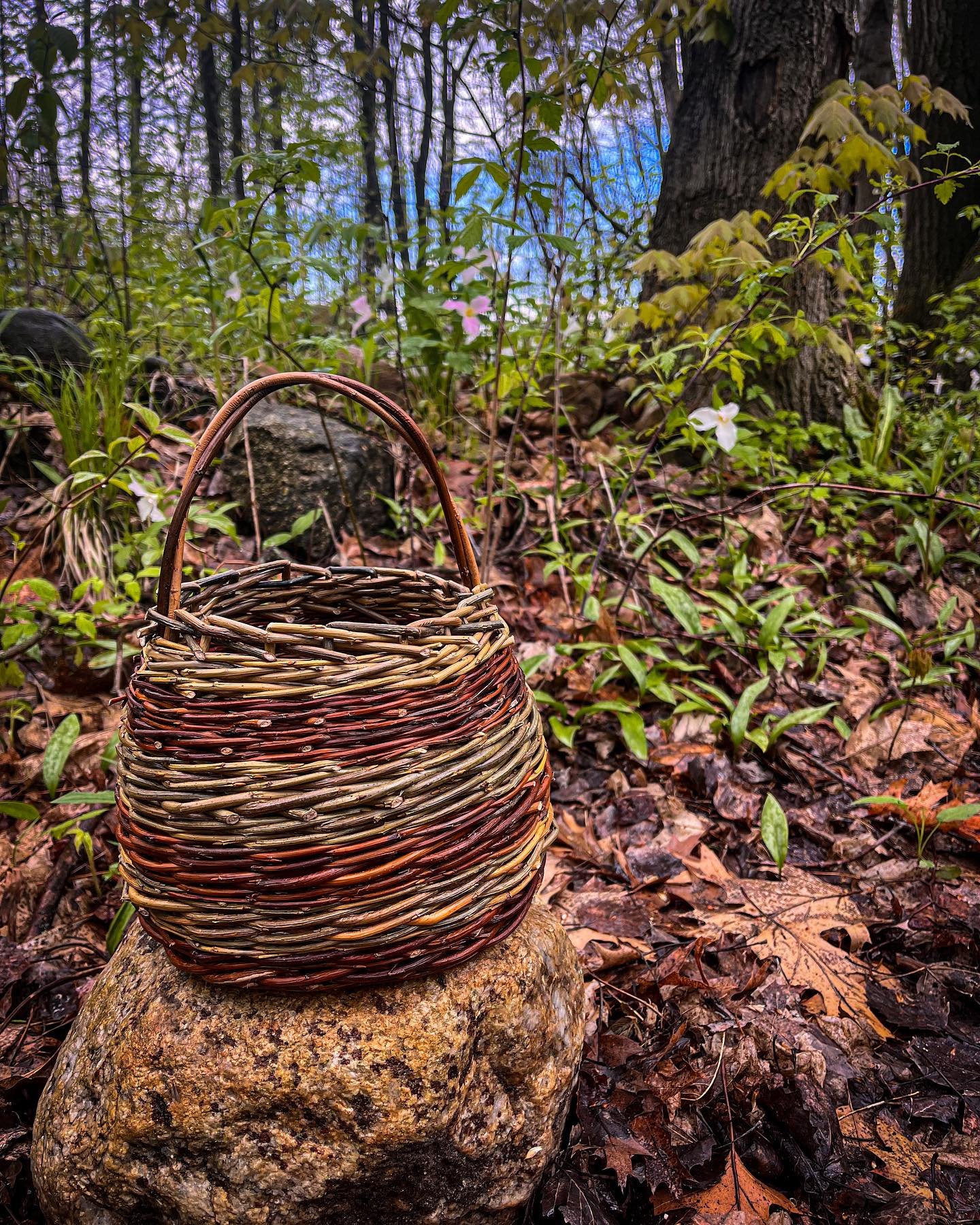 /GATHER/
.
a handmade willow basket for gathering wild raspberries and currants, made by me over the weekend with @sian.windandthewillow, @riverandfalls.pec and a group of creative and inspiring women. 
.
It was a weekend full of connecting with some