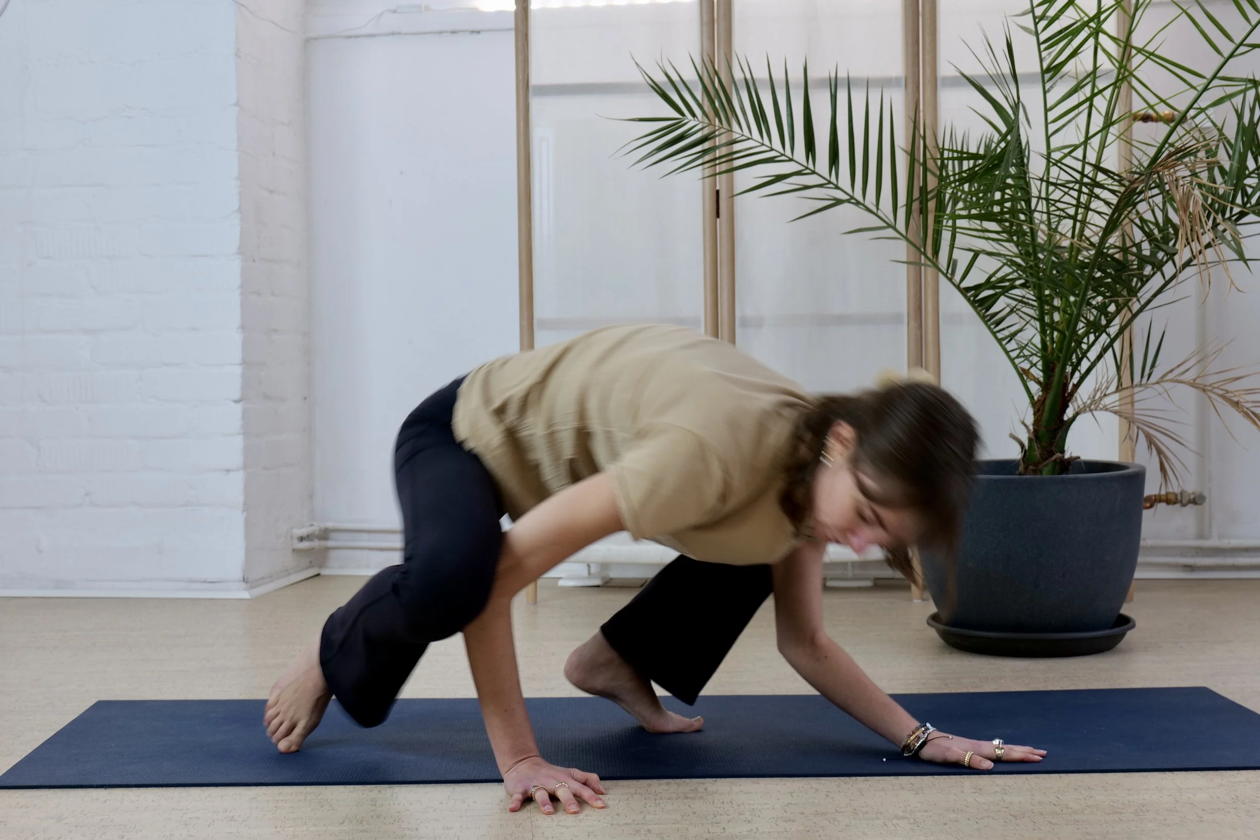 curiosity-learning- crow-pose-alexandra-meffert.jpg