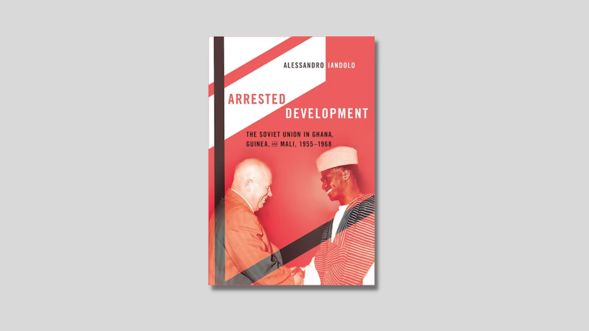 Image of book Arrested Development
