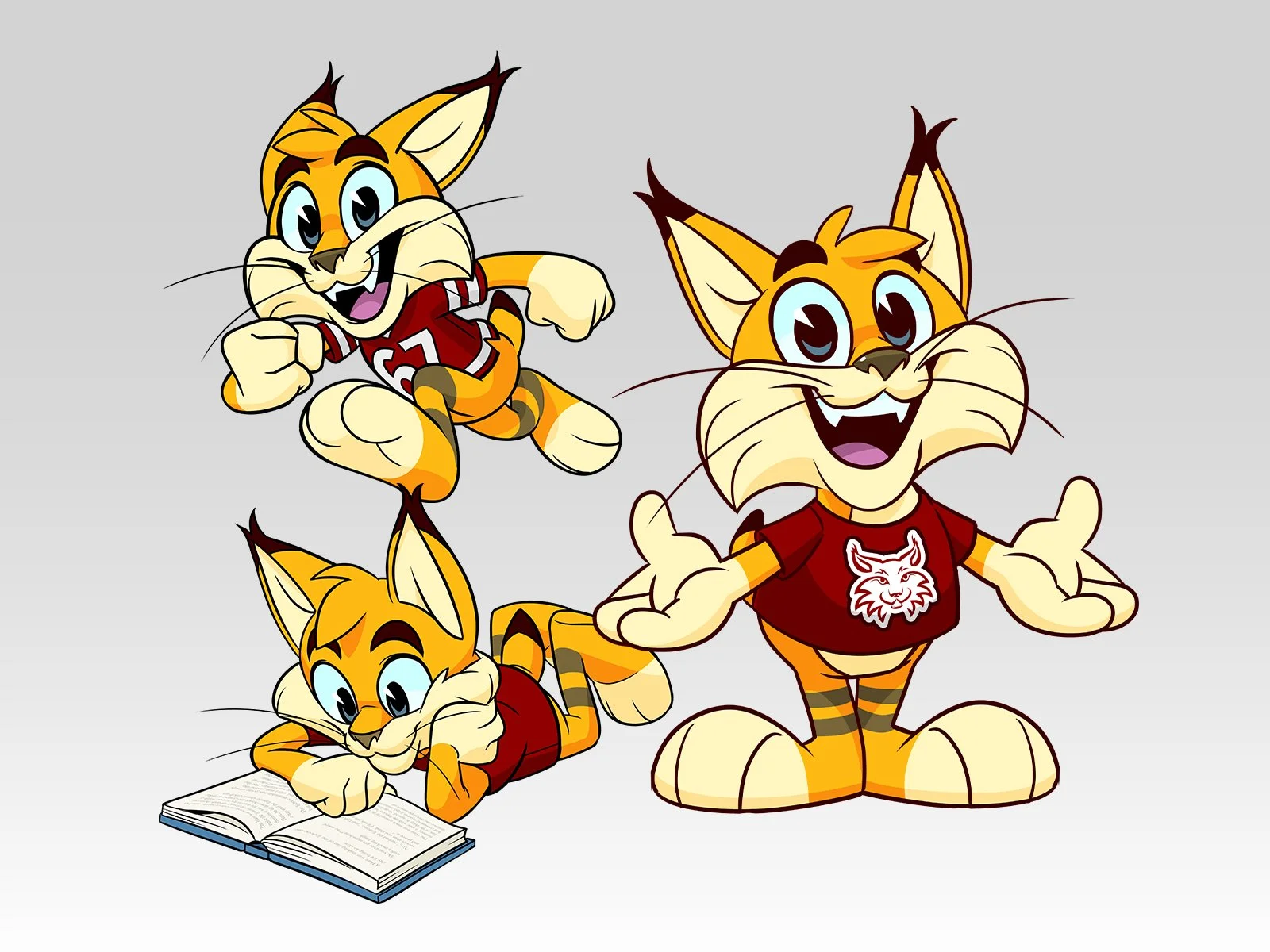 Bobcat_All.jpg
