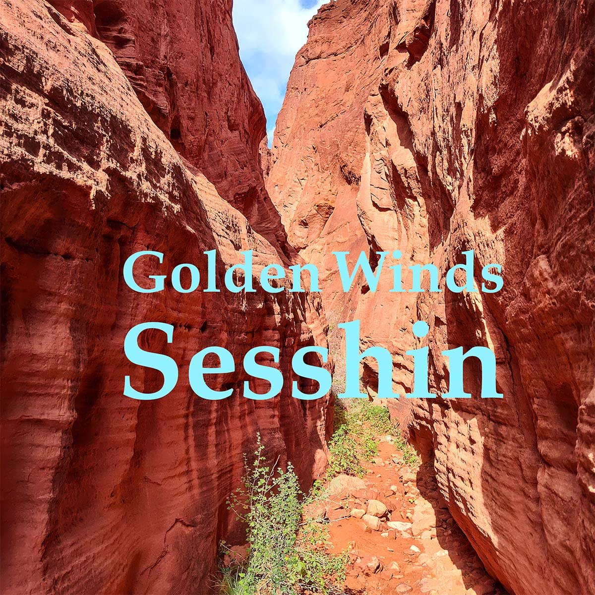 Golden Winds Sesshin