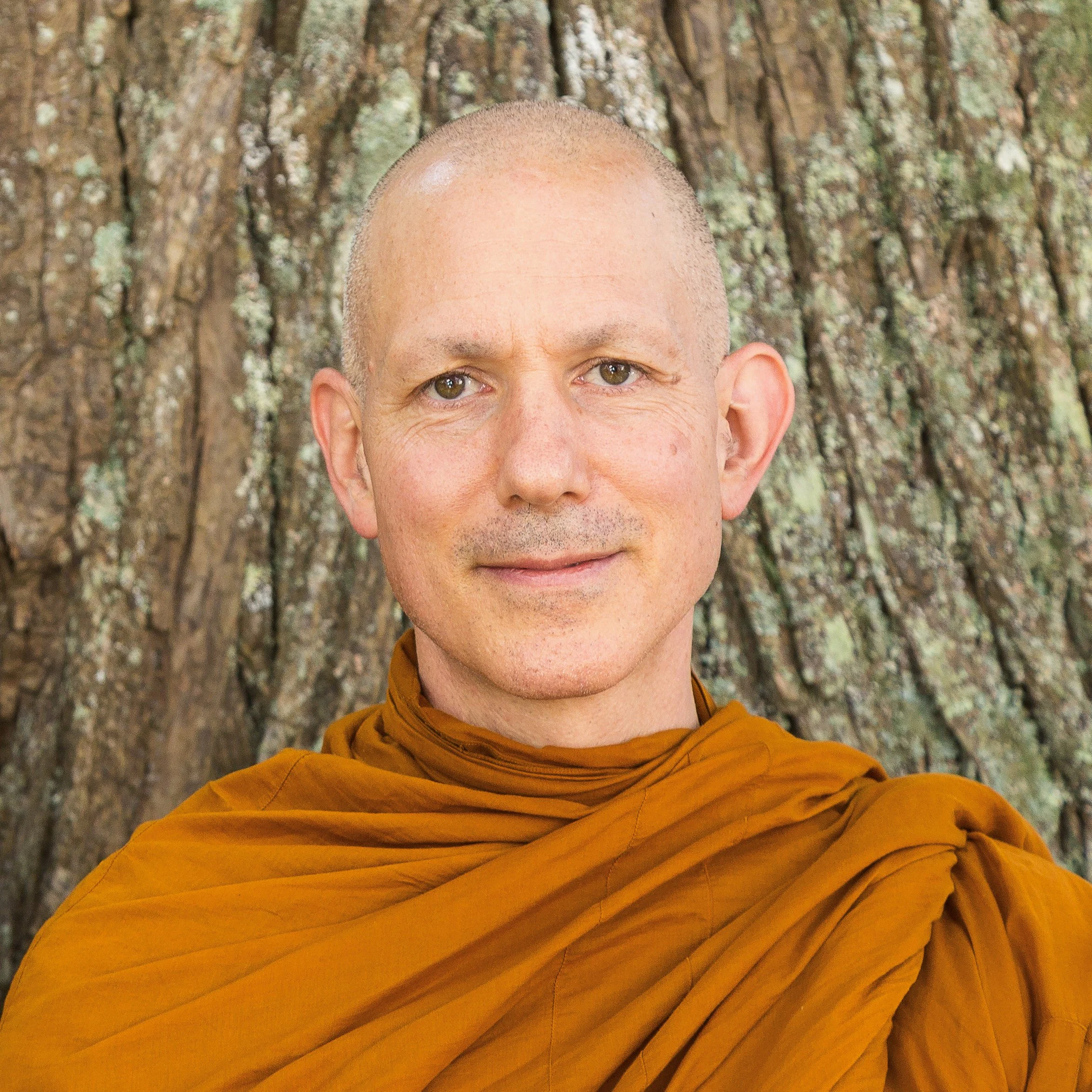 A close-up portrait of a Buddhist monk with a shaved head wearing saffron robes, smiling gently, with a textured tree trunk visible in the background.