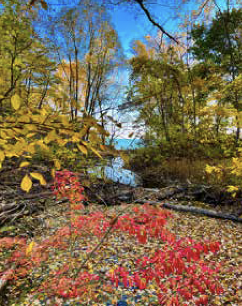 Chicago Meditates 2026 Fall Retreat