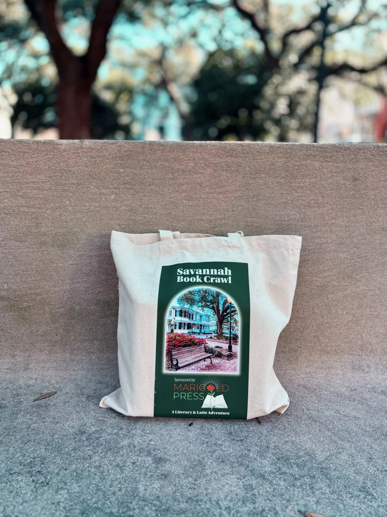 Tier 2 *Add On* - Tour & Swag Bag - Savannah Springtime Book Crawl