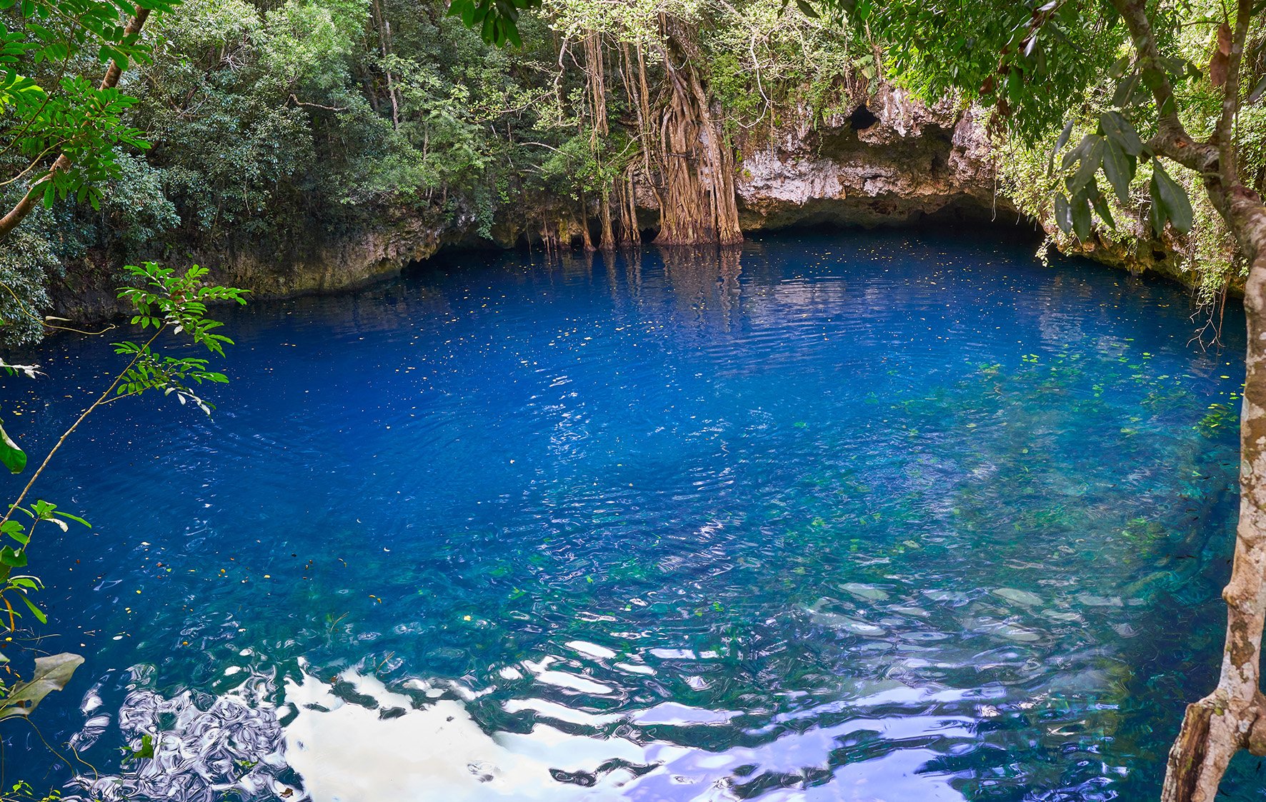 Galeria Chichen Itza 3.jpg