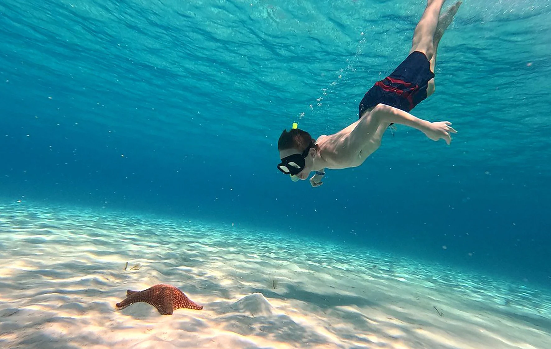 Cozumel 4.jpg